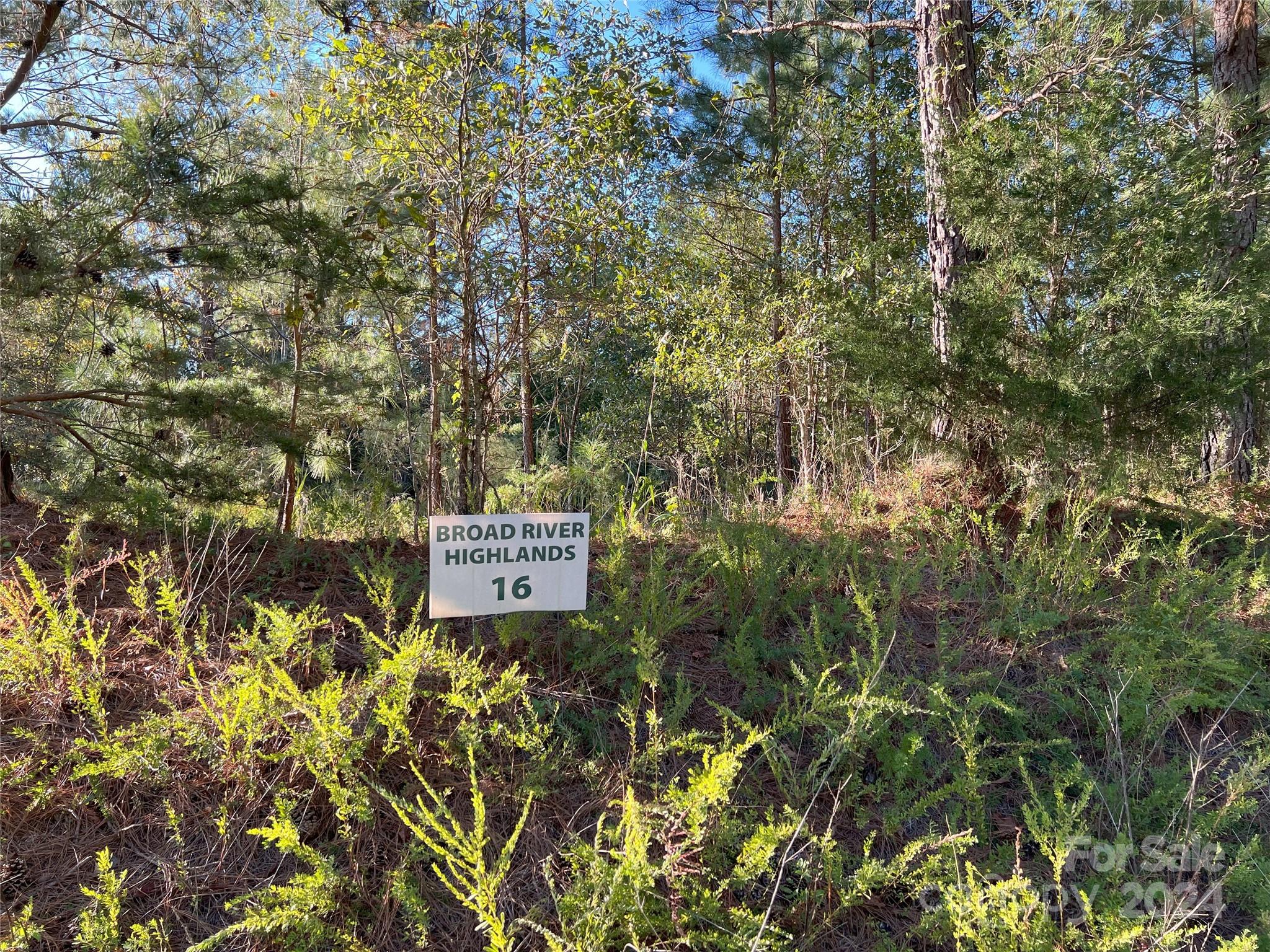 Broad River Highlands - Land