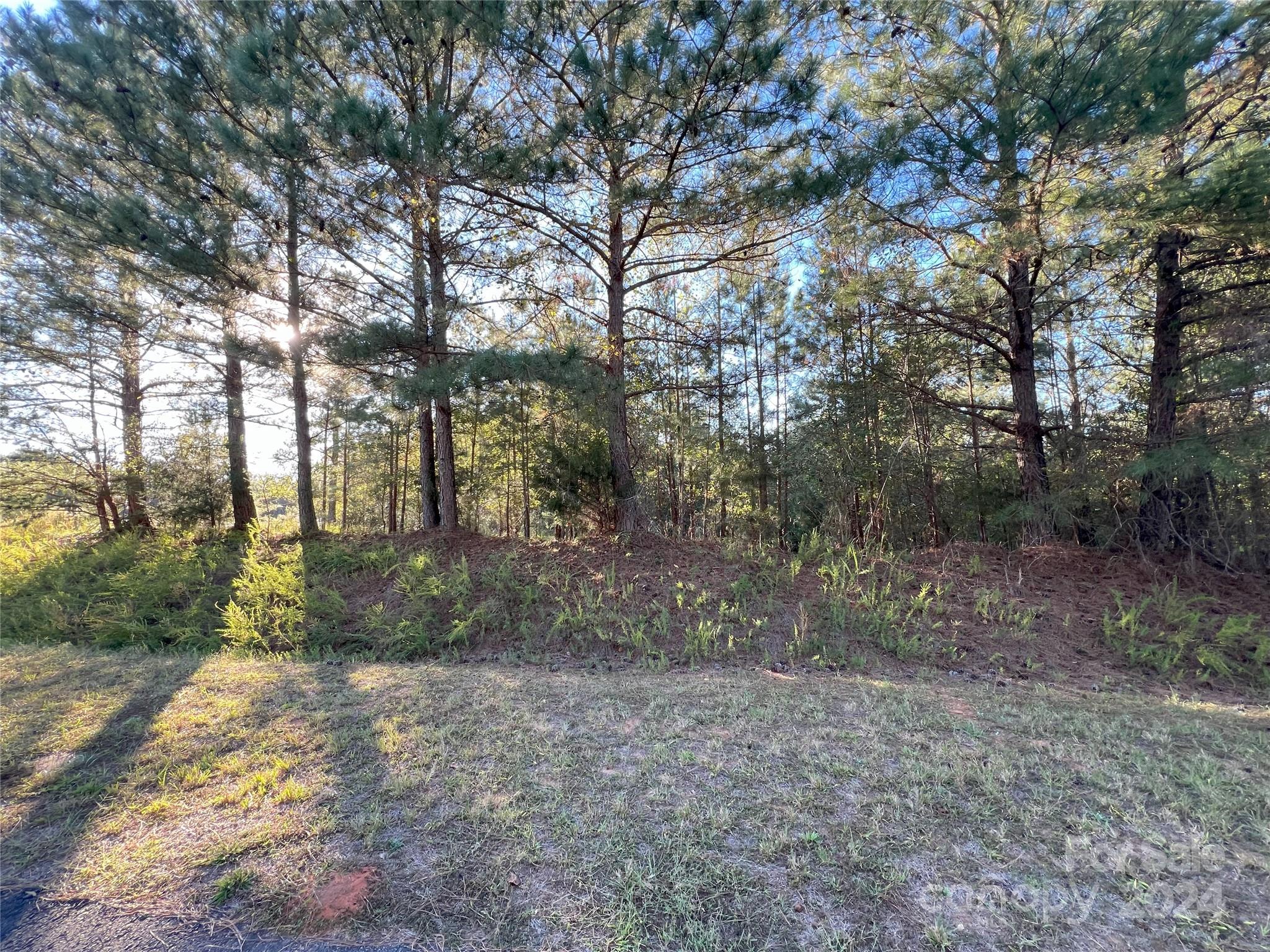 Broad River Highlands - Land