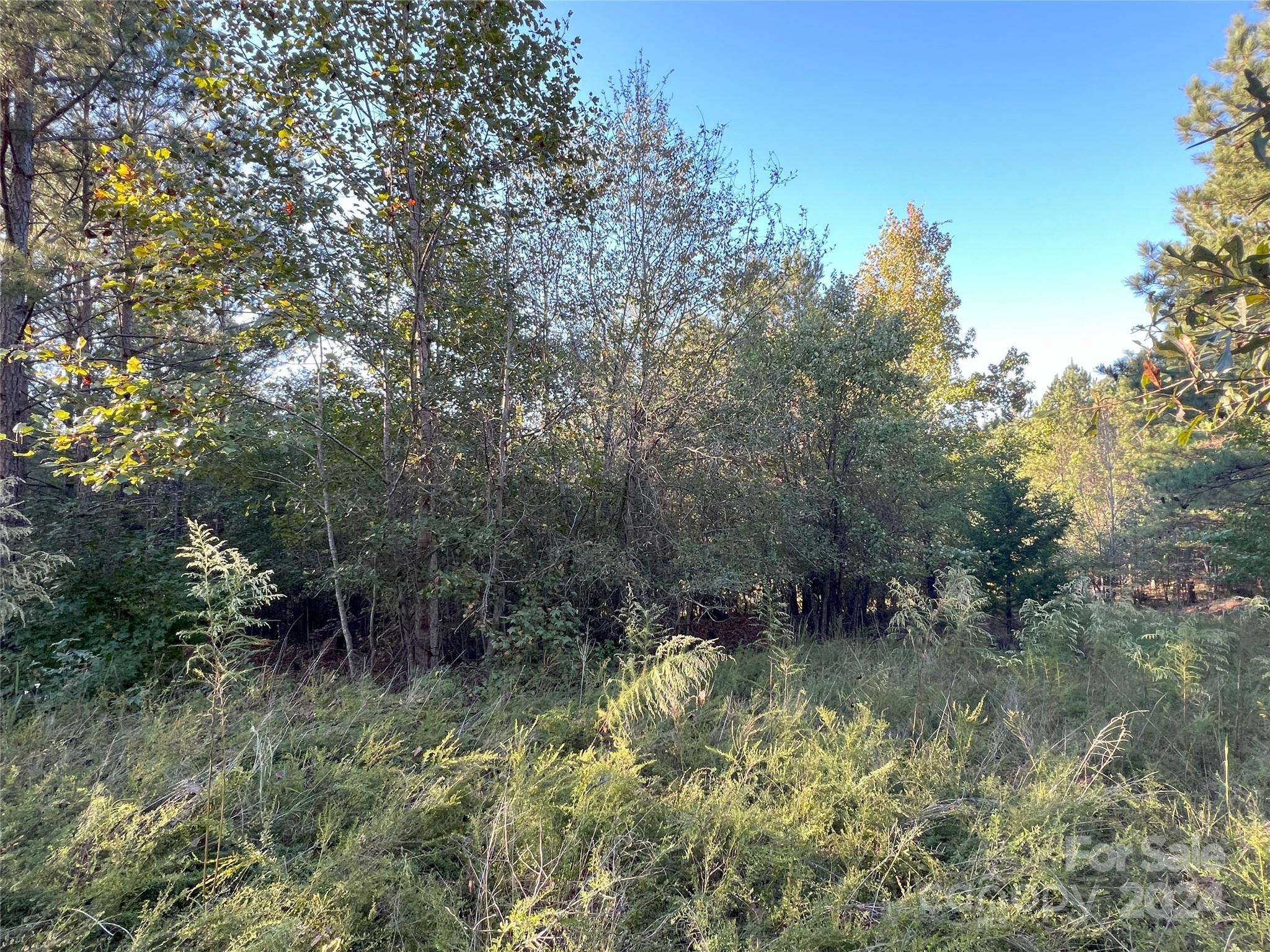 Broad River Highlands - Land