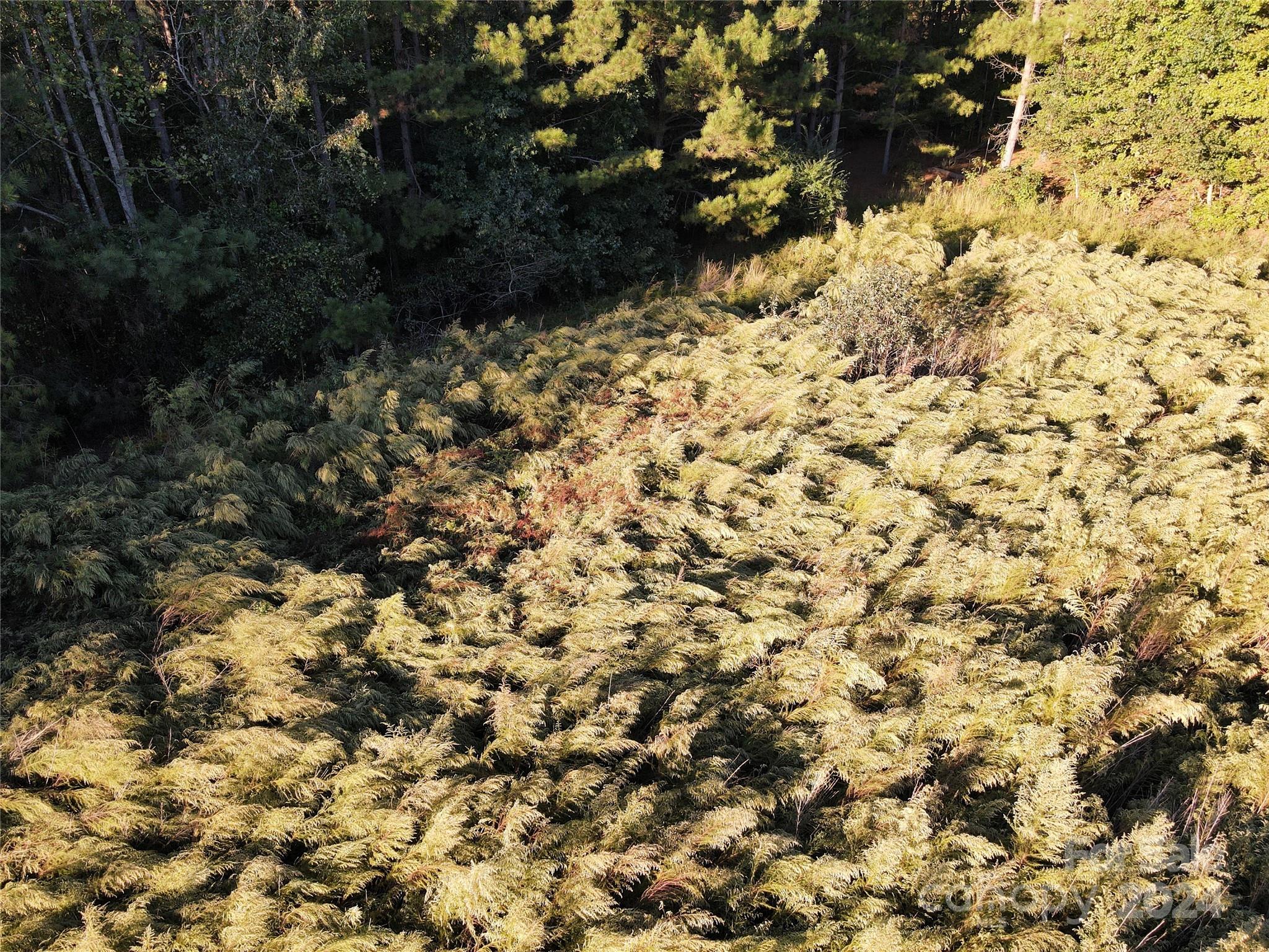 Broad River Highlands - Land