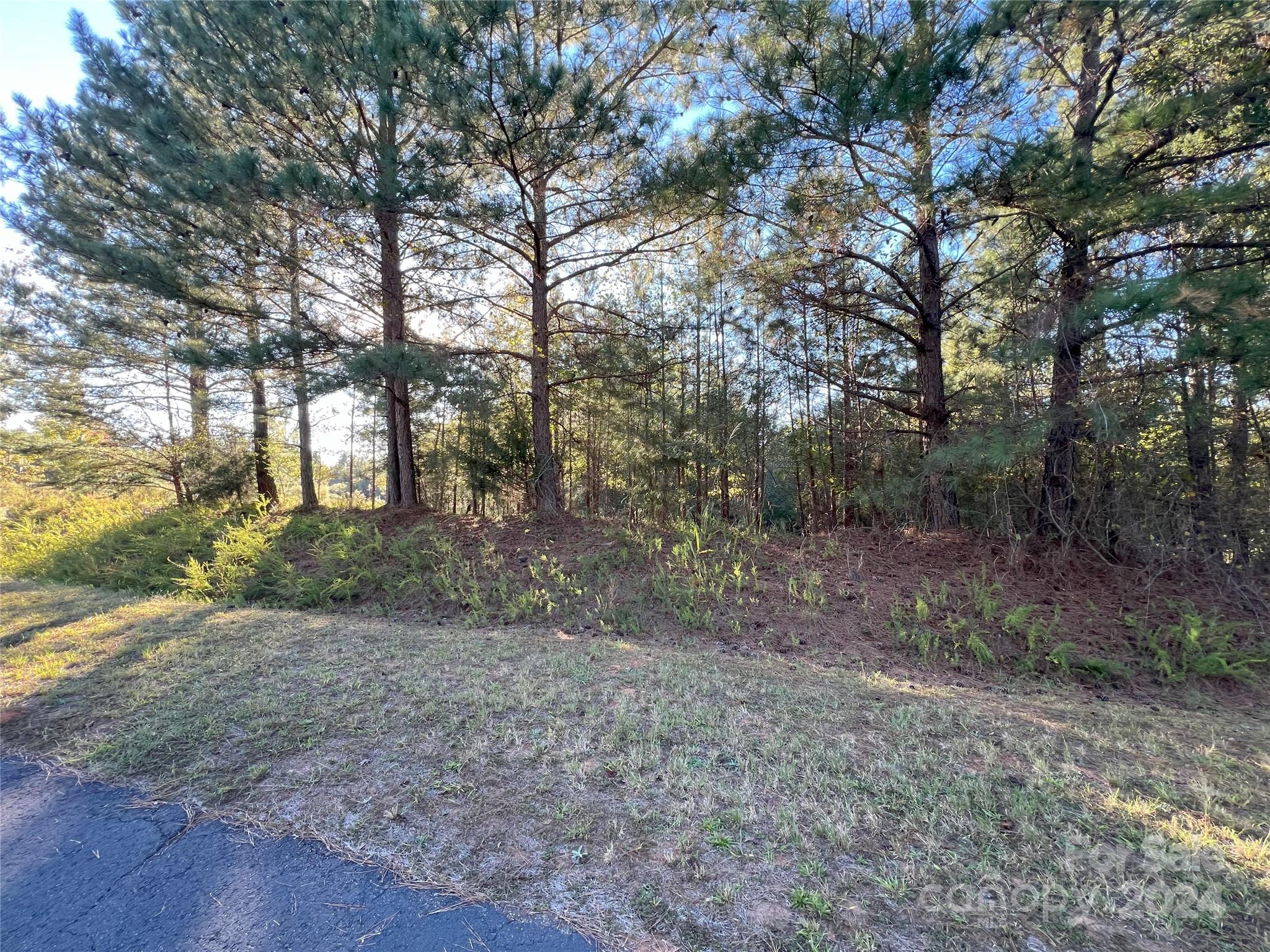 111 River View Drive