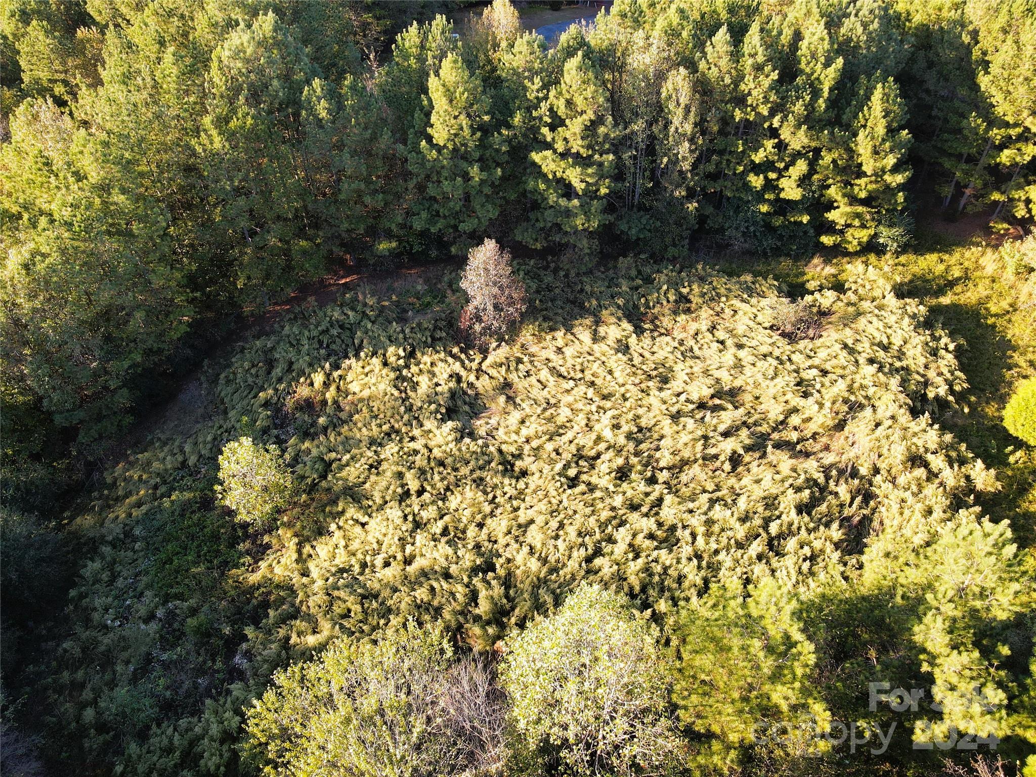 Broad River Highlands - Land