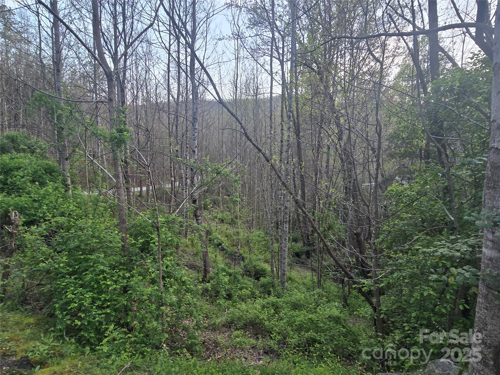 Lt 1 Running Water Circle 1