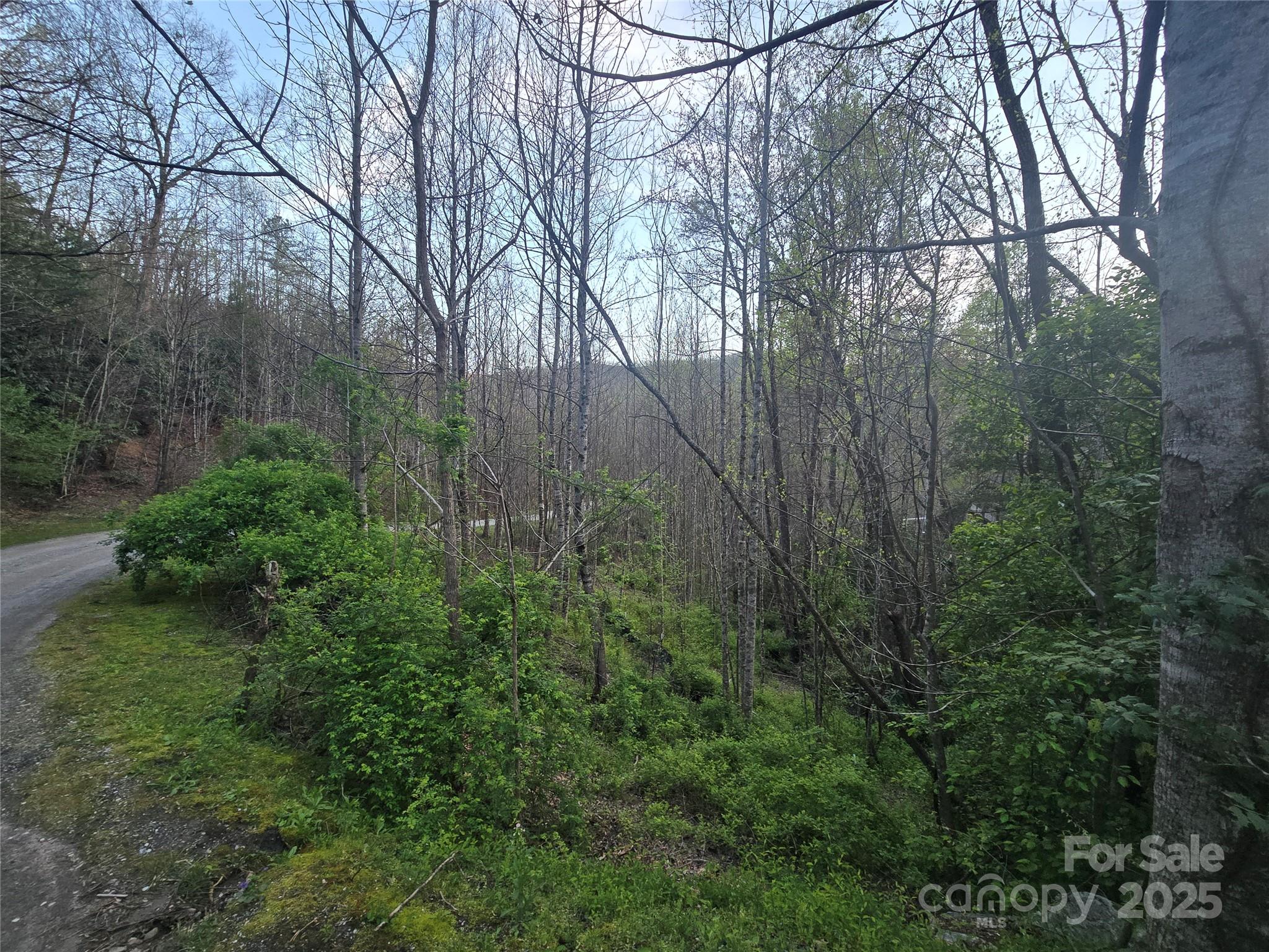 Lt 1 Running Water Circle 1