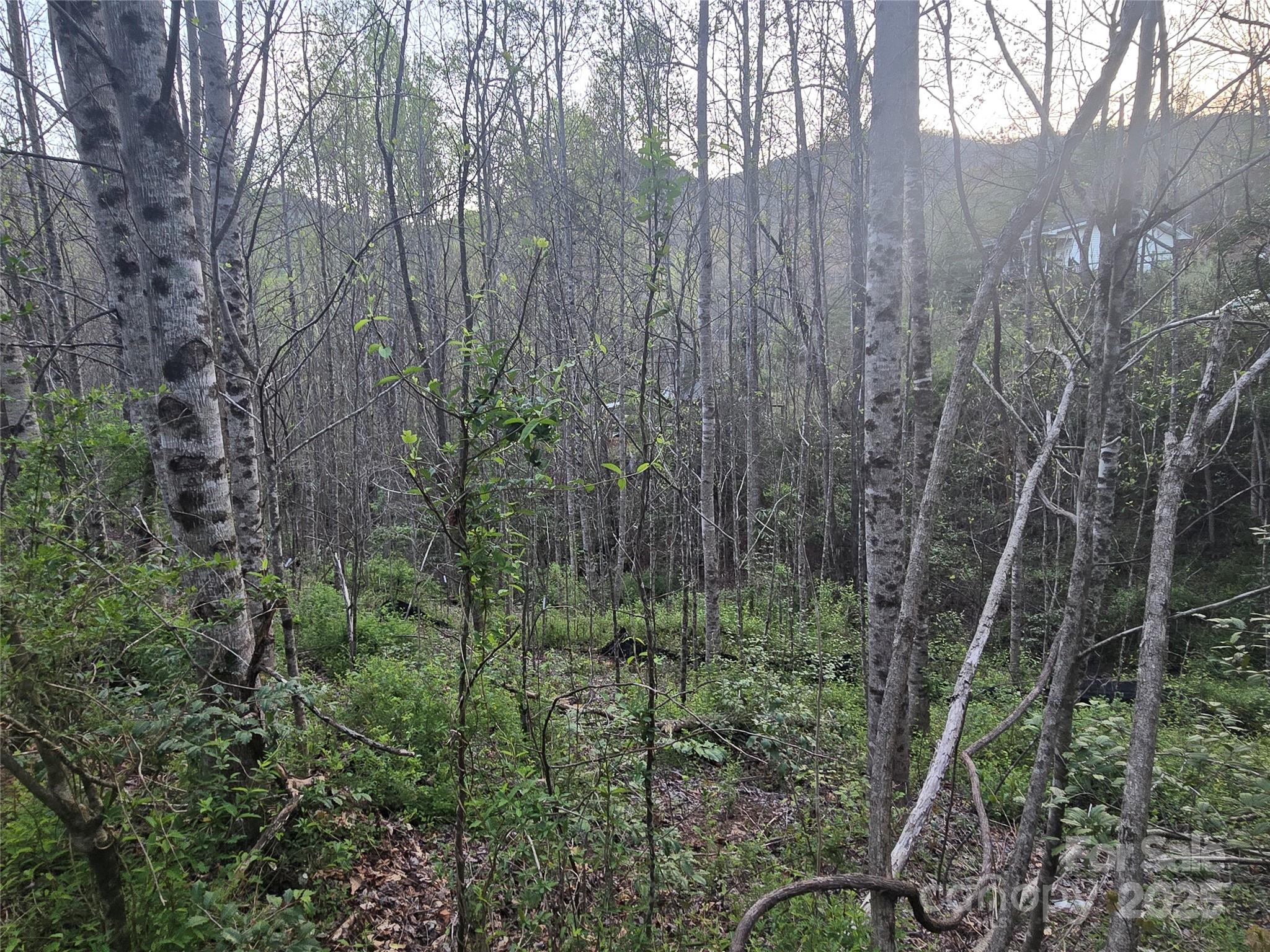 Lt 1 Running Water Circle 1