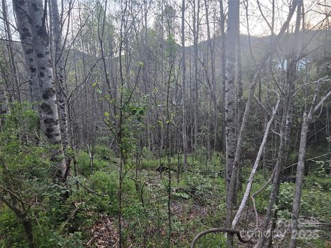 Lt 1 Running Water Circle 1 Sylva NC 28779