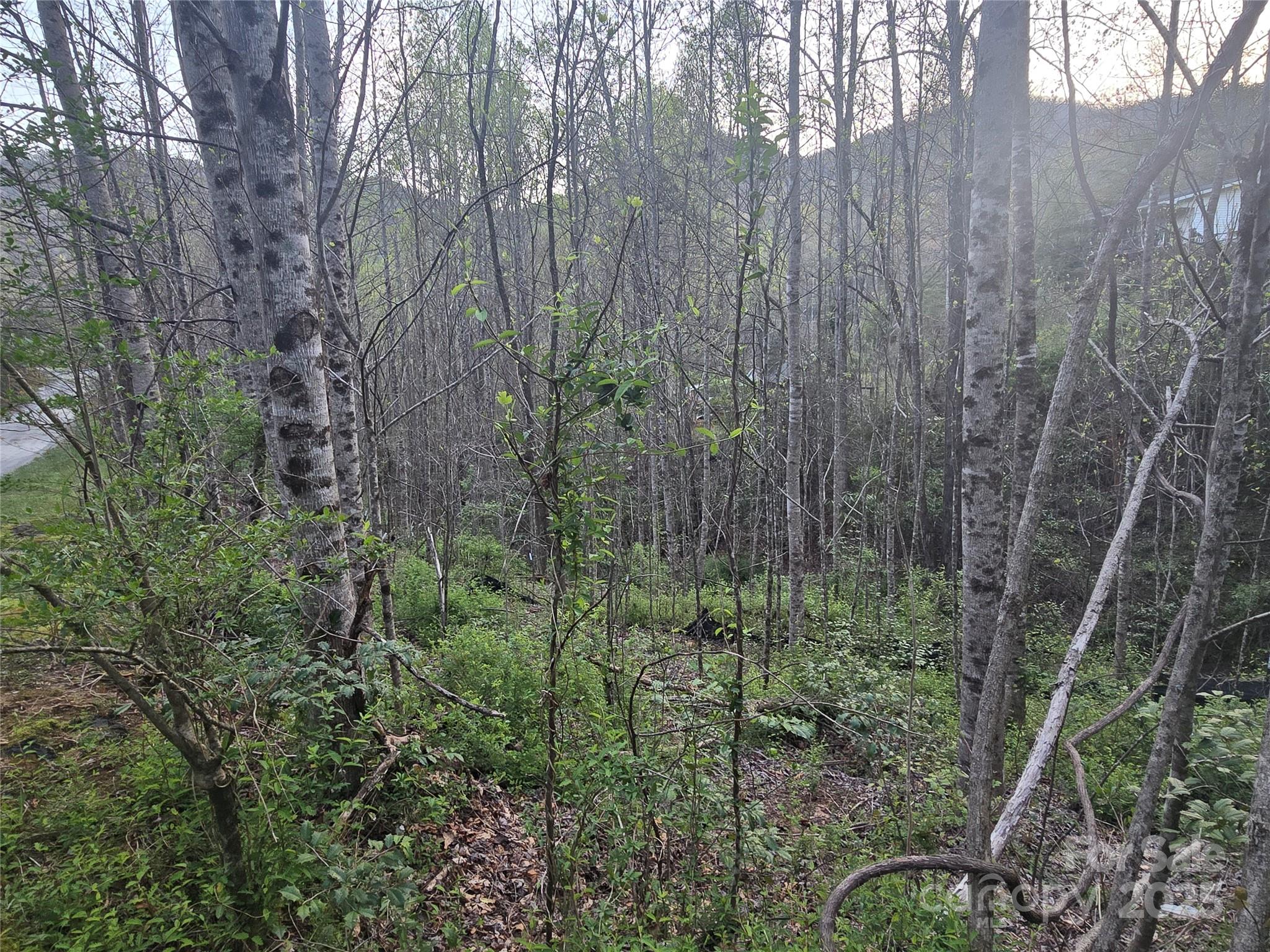 Lt 1 Running Water Circle 1