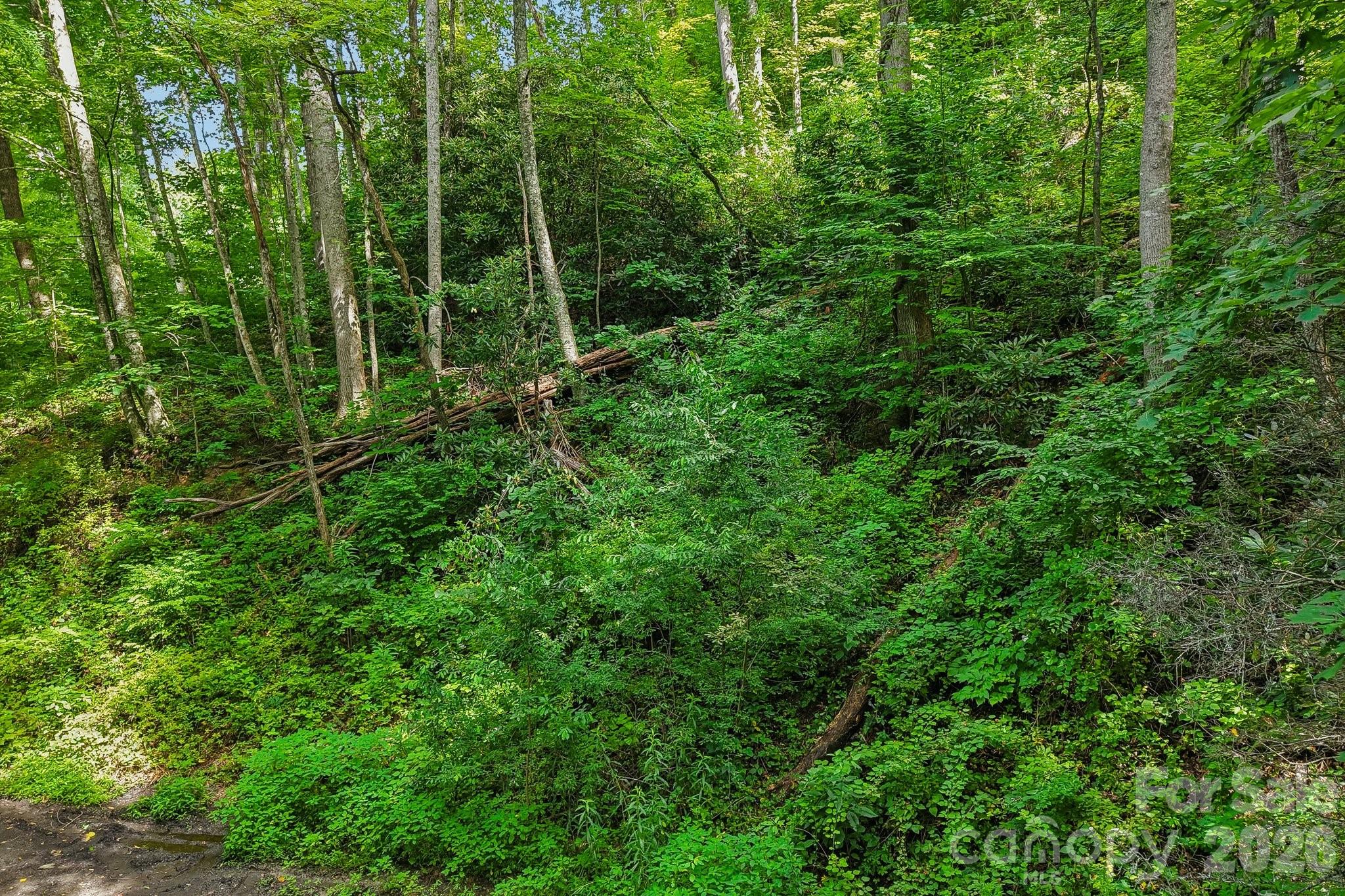 TBD Indian Falls Road