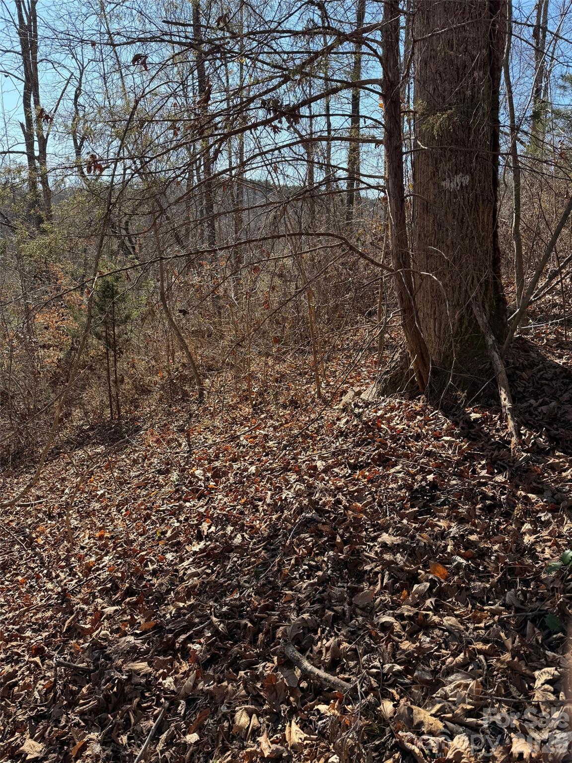 000 E Rambling Creek Road 11