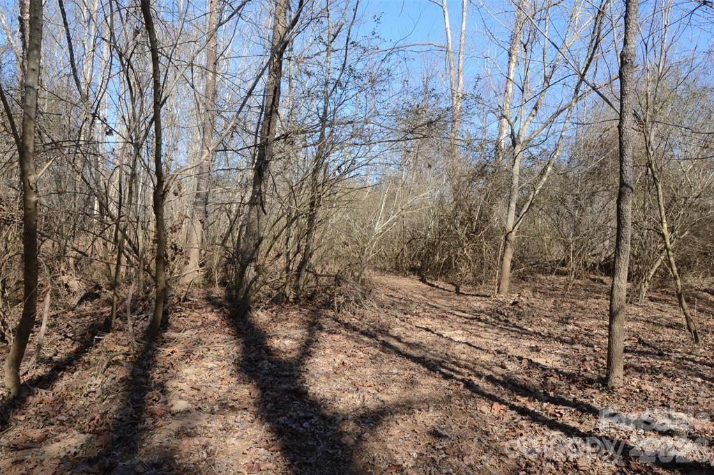 000 E Rambling Creek Road 11