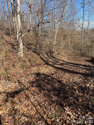 10 E RAMBLING CRK, TRYON, NC 28782 - Image 75e2cc82013044d54f4af3ea0cd97c70/2292175104