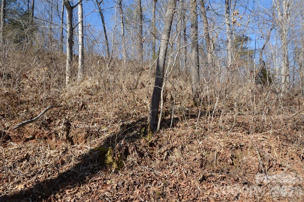 Vista At The Riverbank - Land