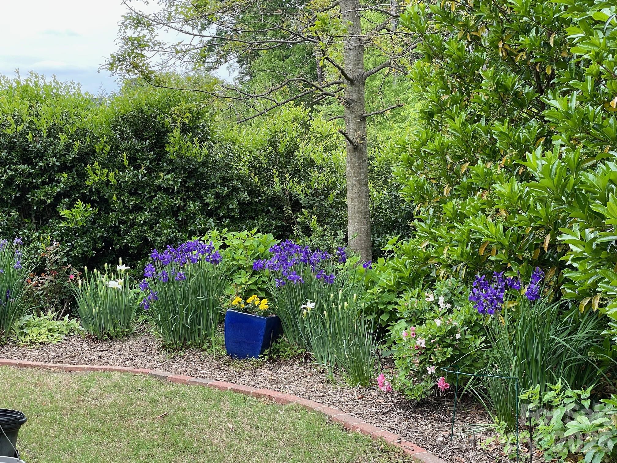 Cobblestone Manor - Residential