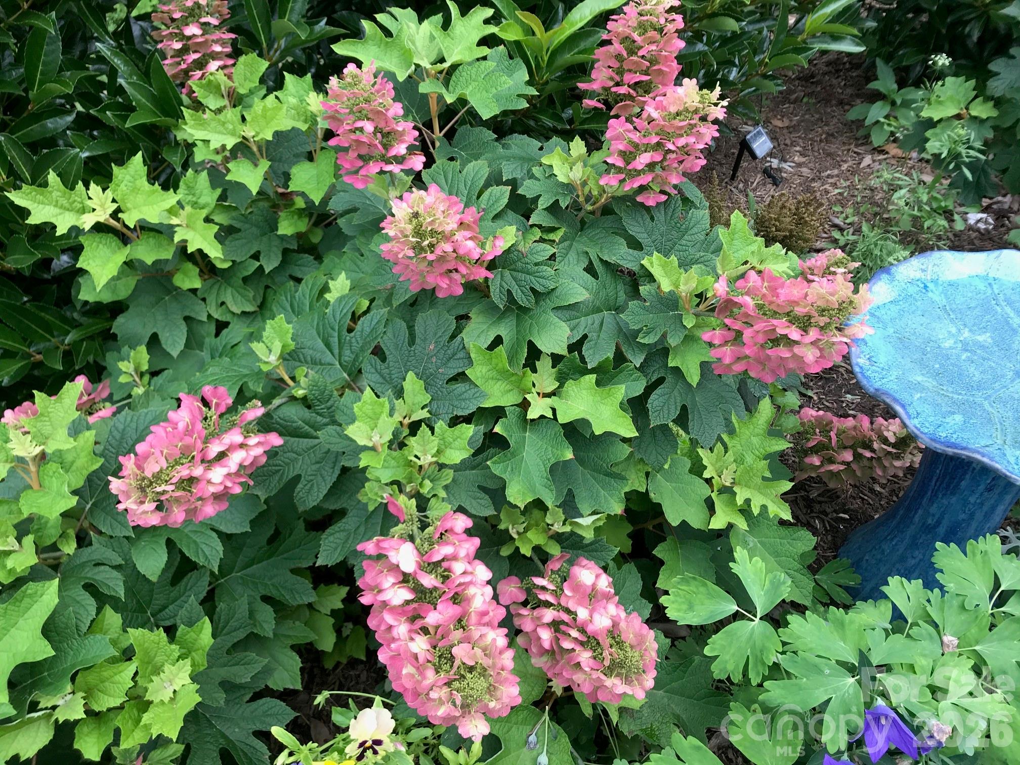 Cobblestone Manor - Residential