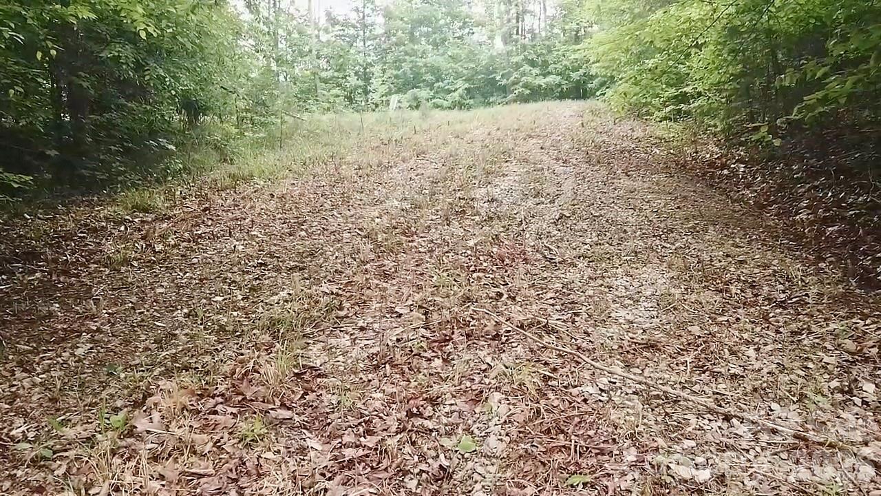 Smith Woods - Land