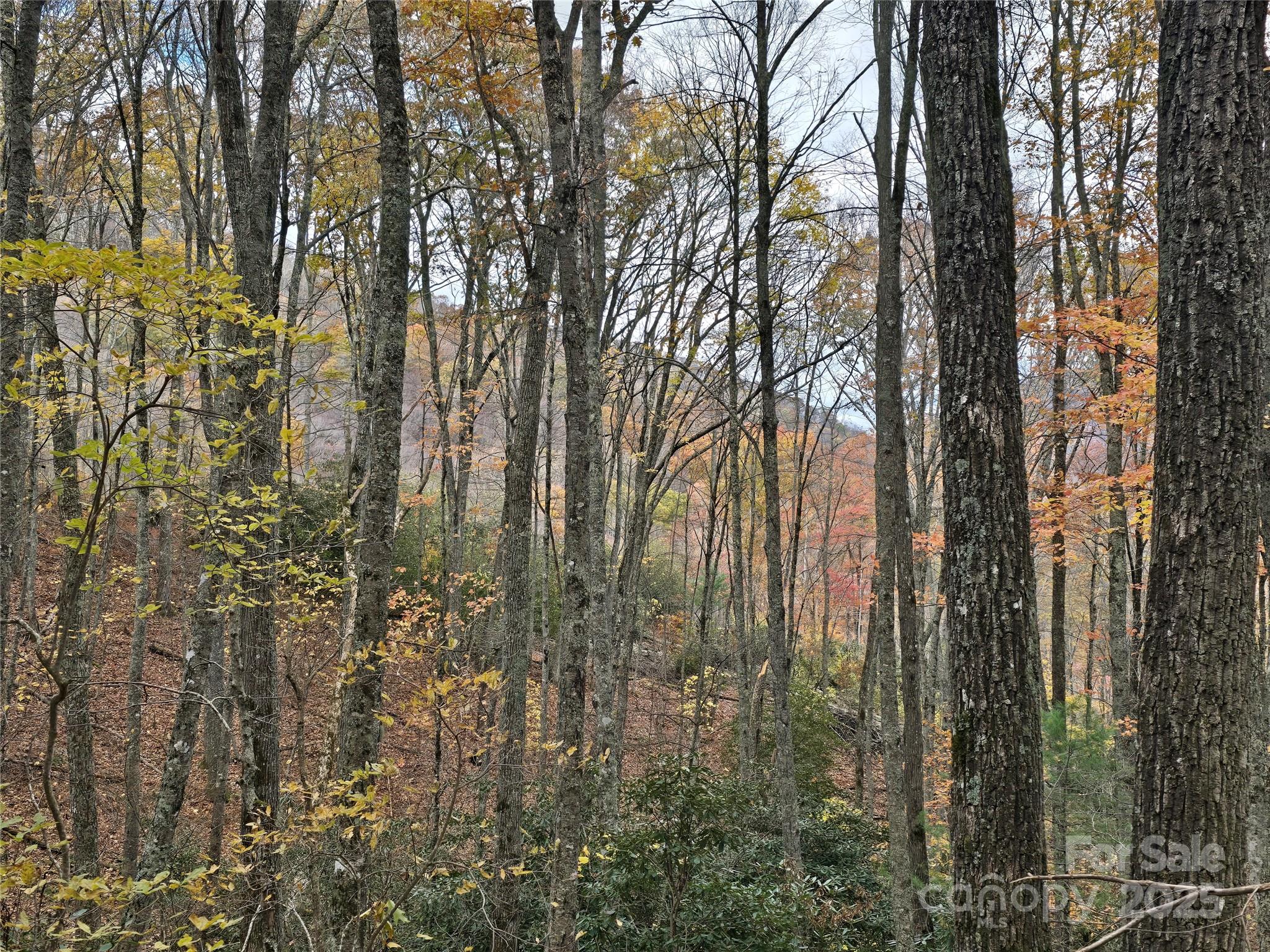 Sherwoode Forest - Land