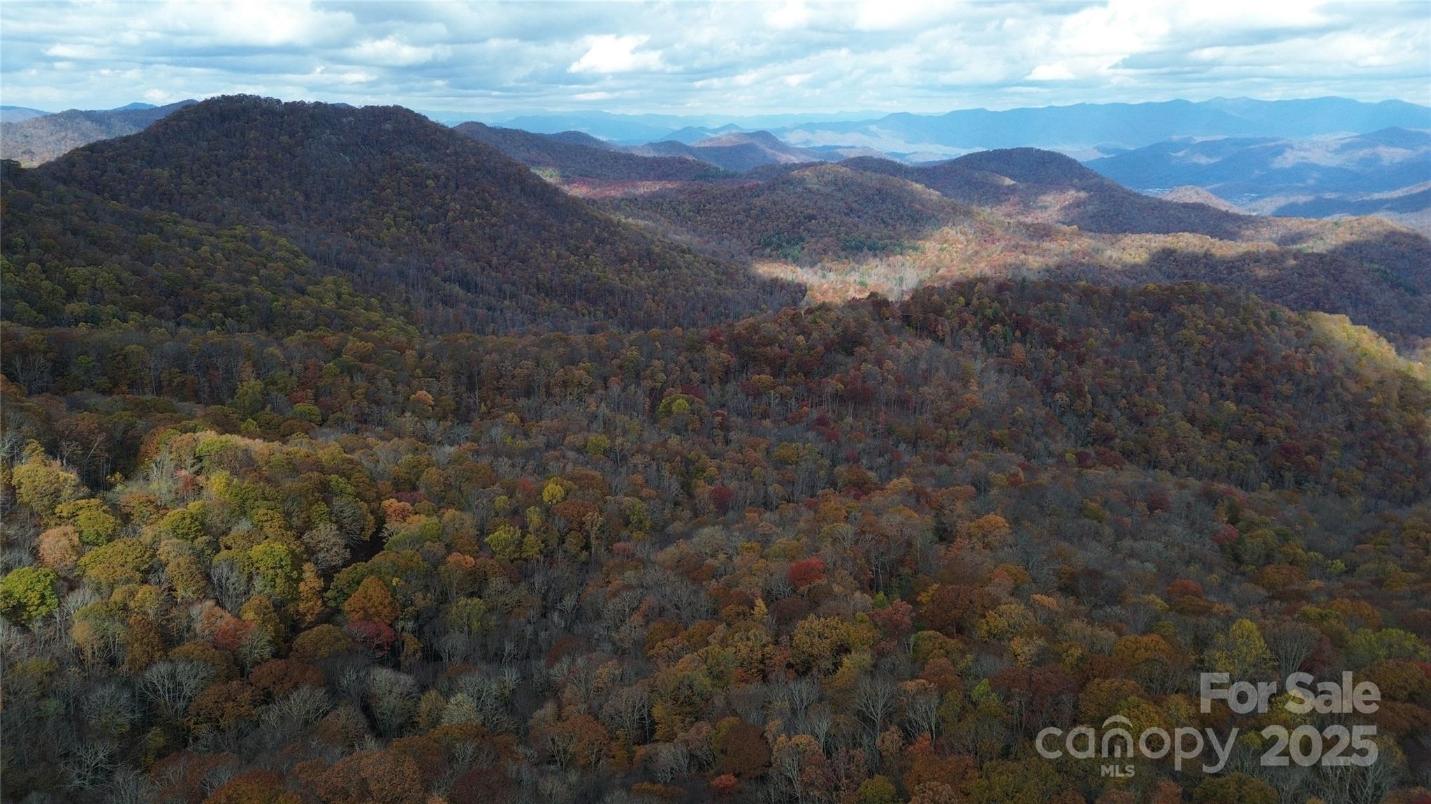 Sherwoode Forest - Land