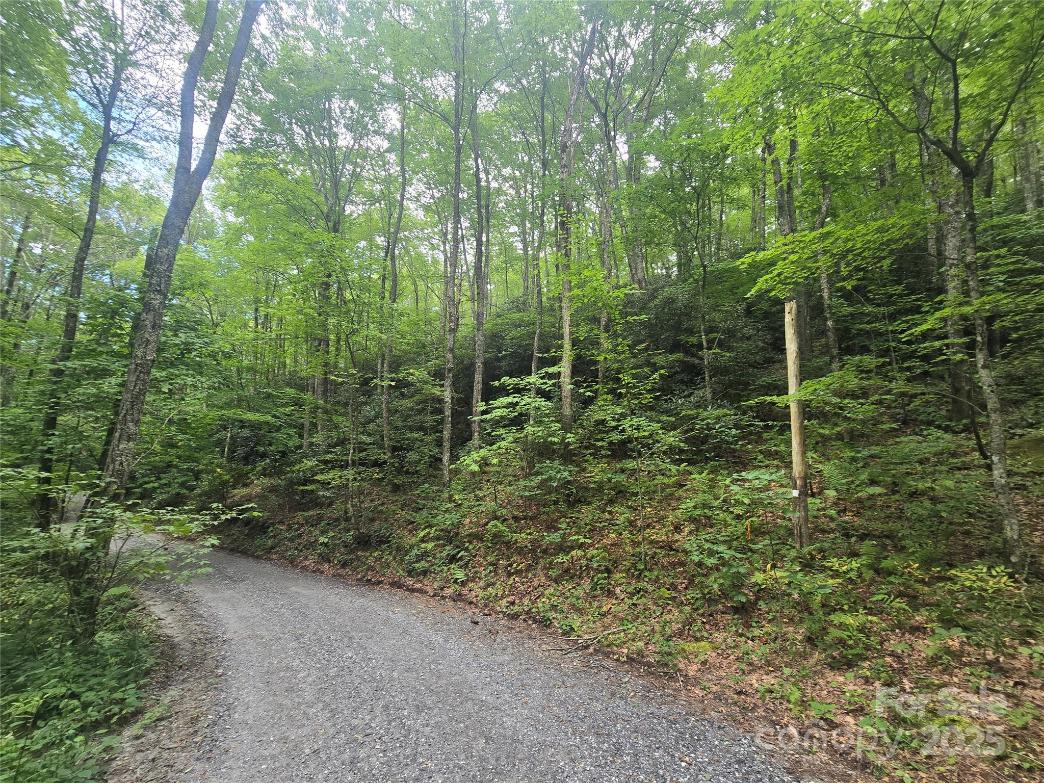 Sherwoode Forest - Land