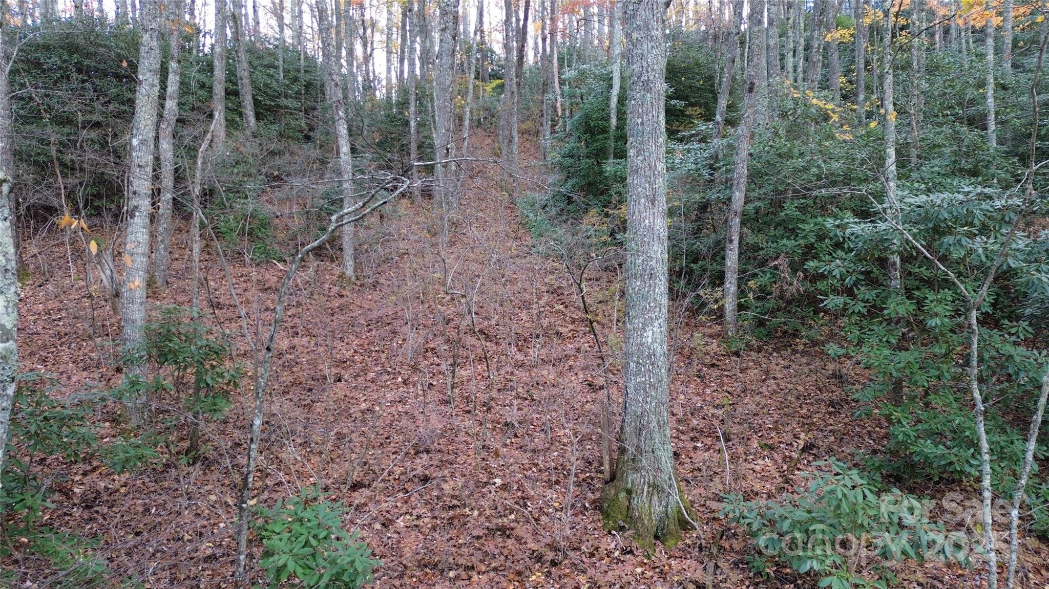 Sherwoode Forest - Land