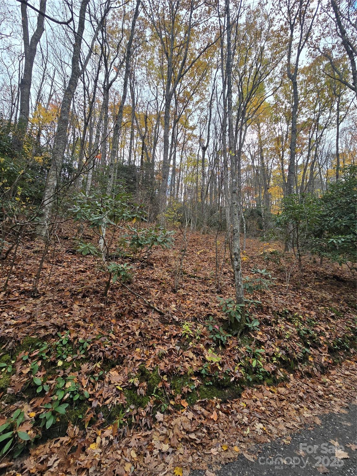 Sherwoode Forest - Land