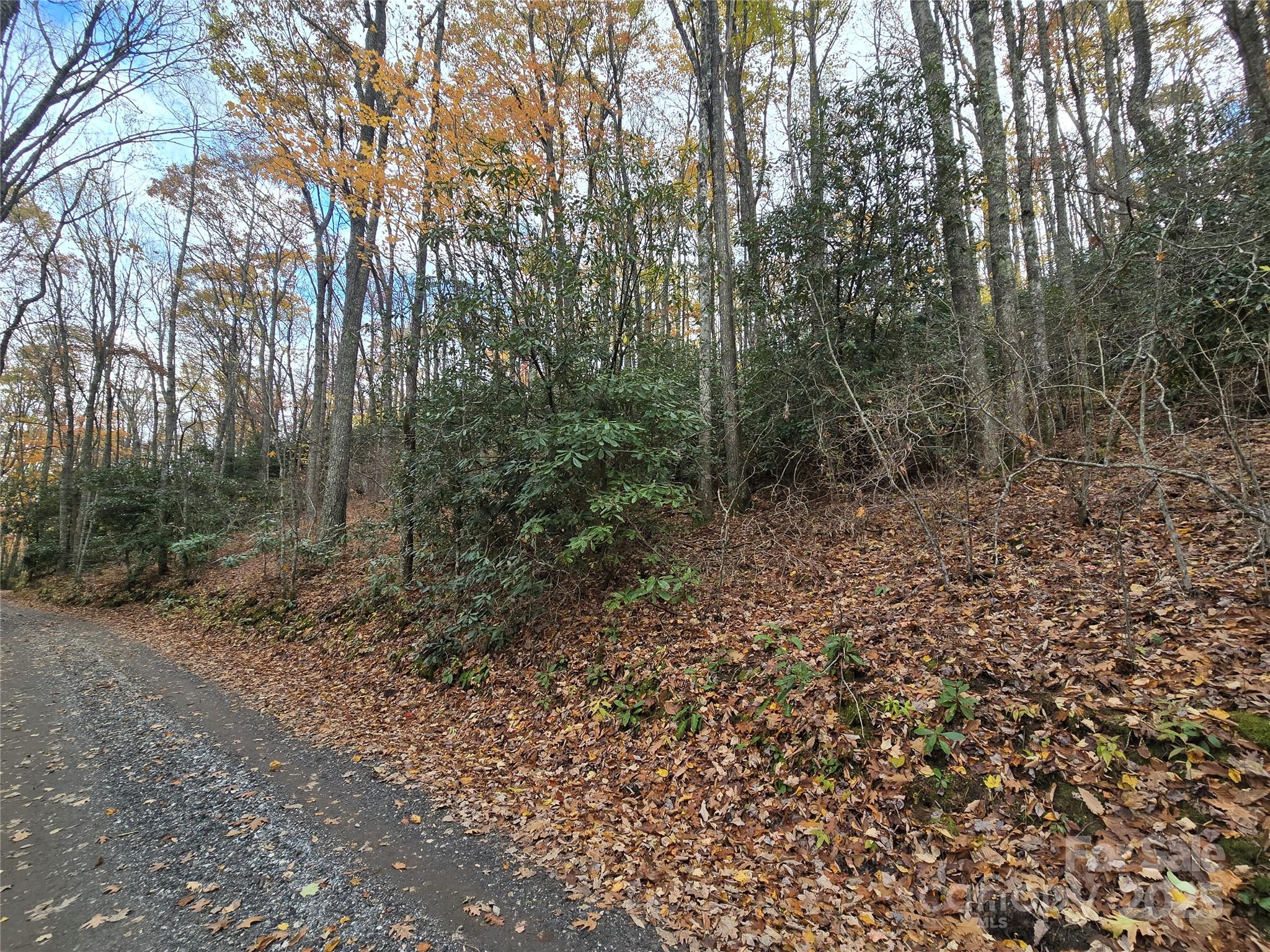 Sherwoode Forest - Land