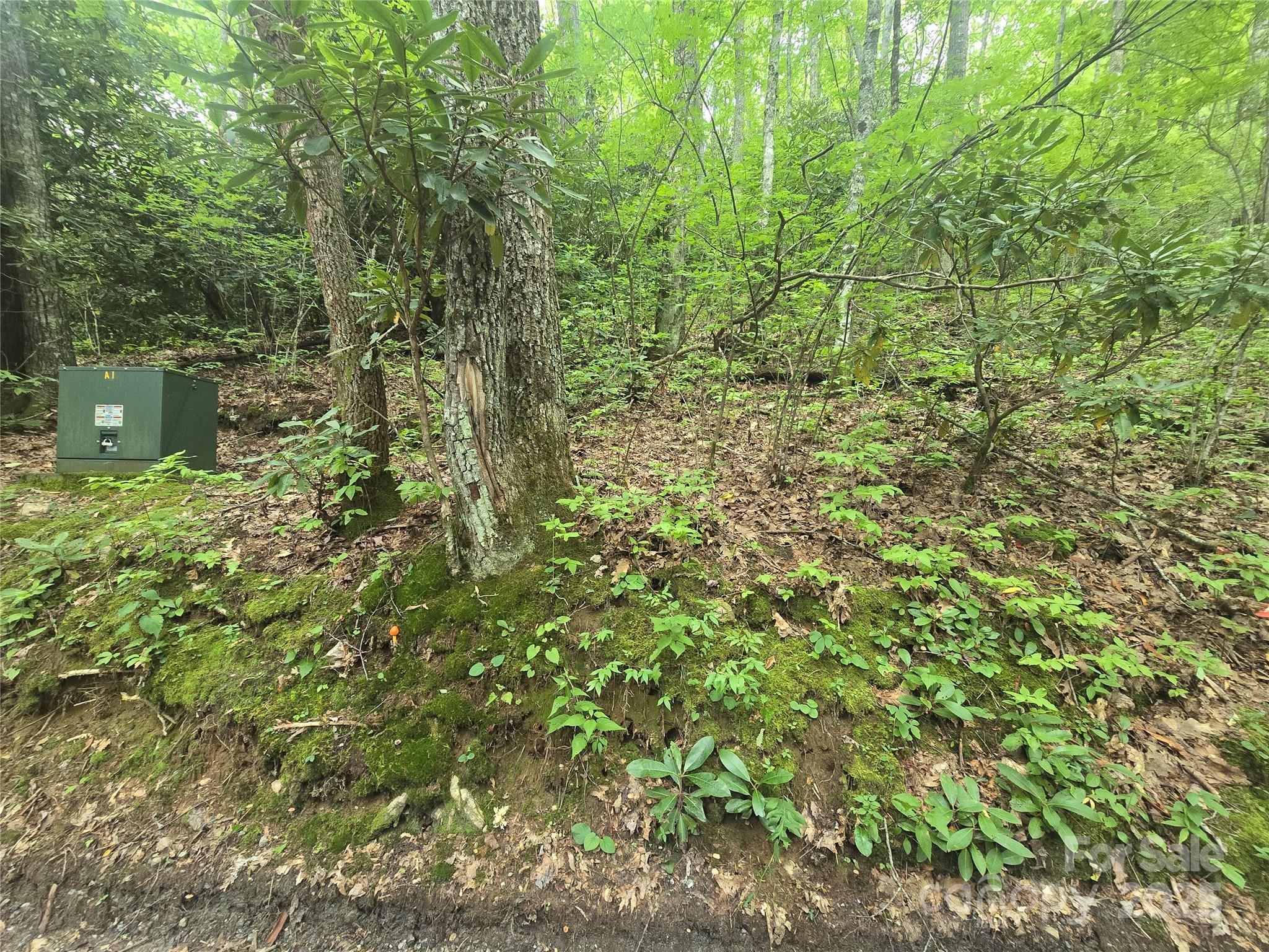 Sherwoode Forest - Land