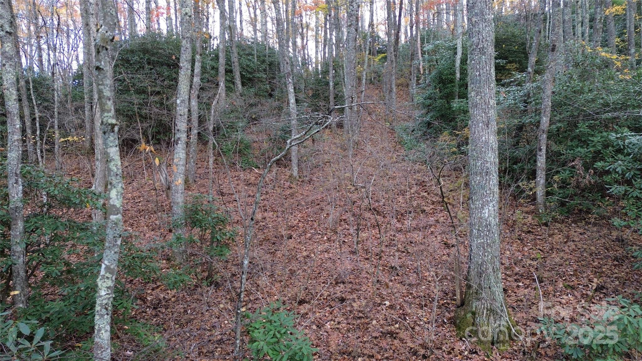 Sherwoode Forest - Land