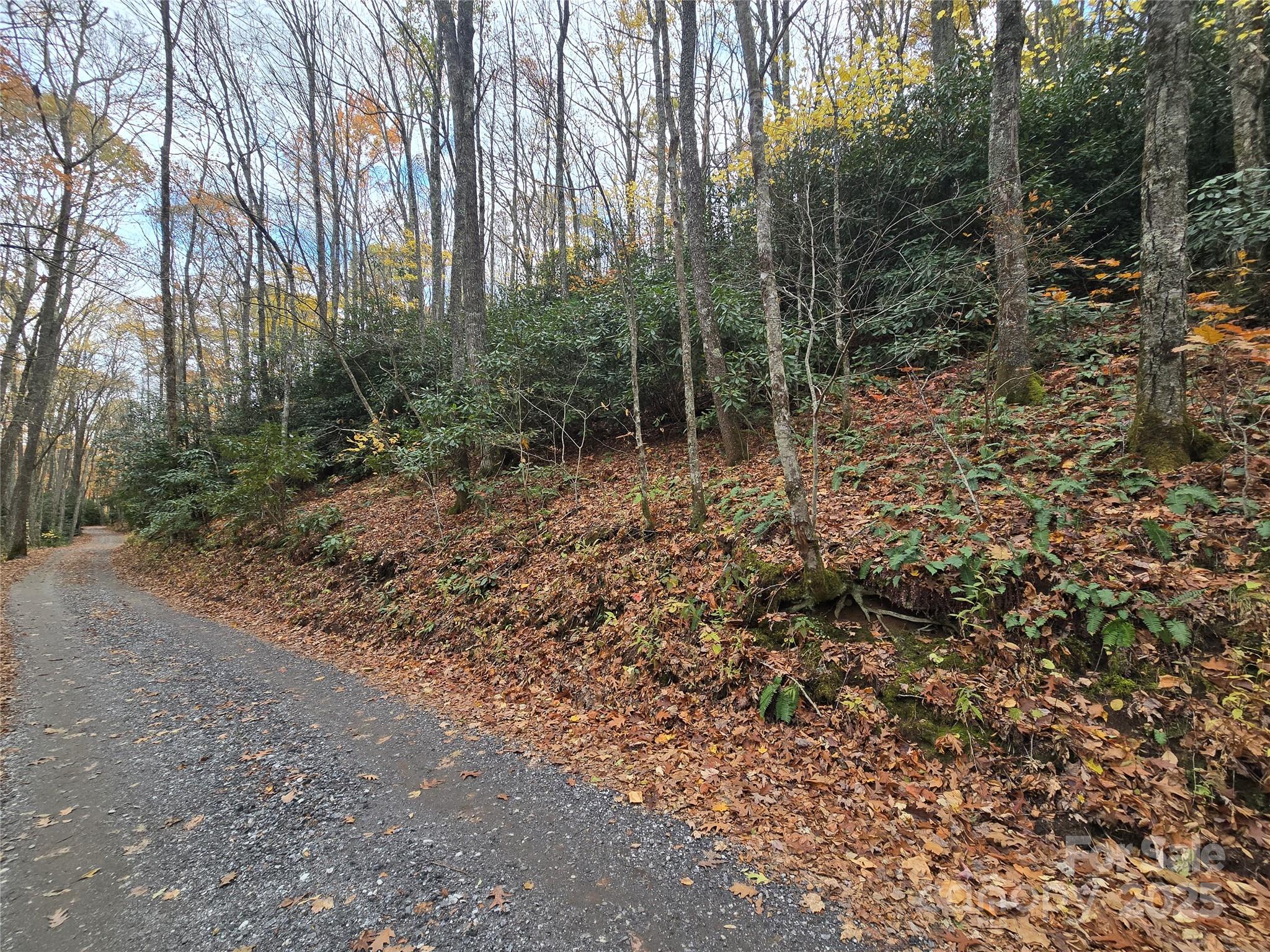 Sherwoode Forest - Land