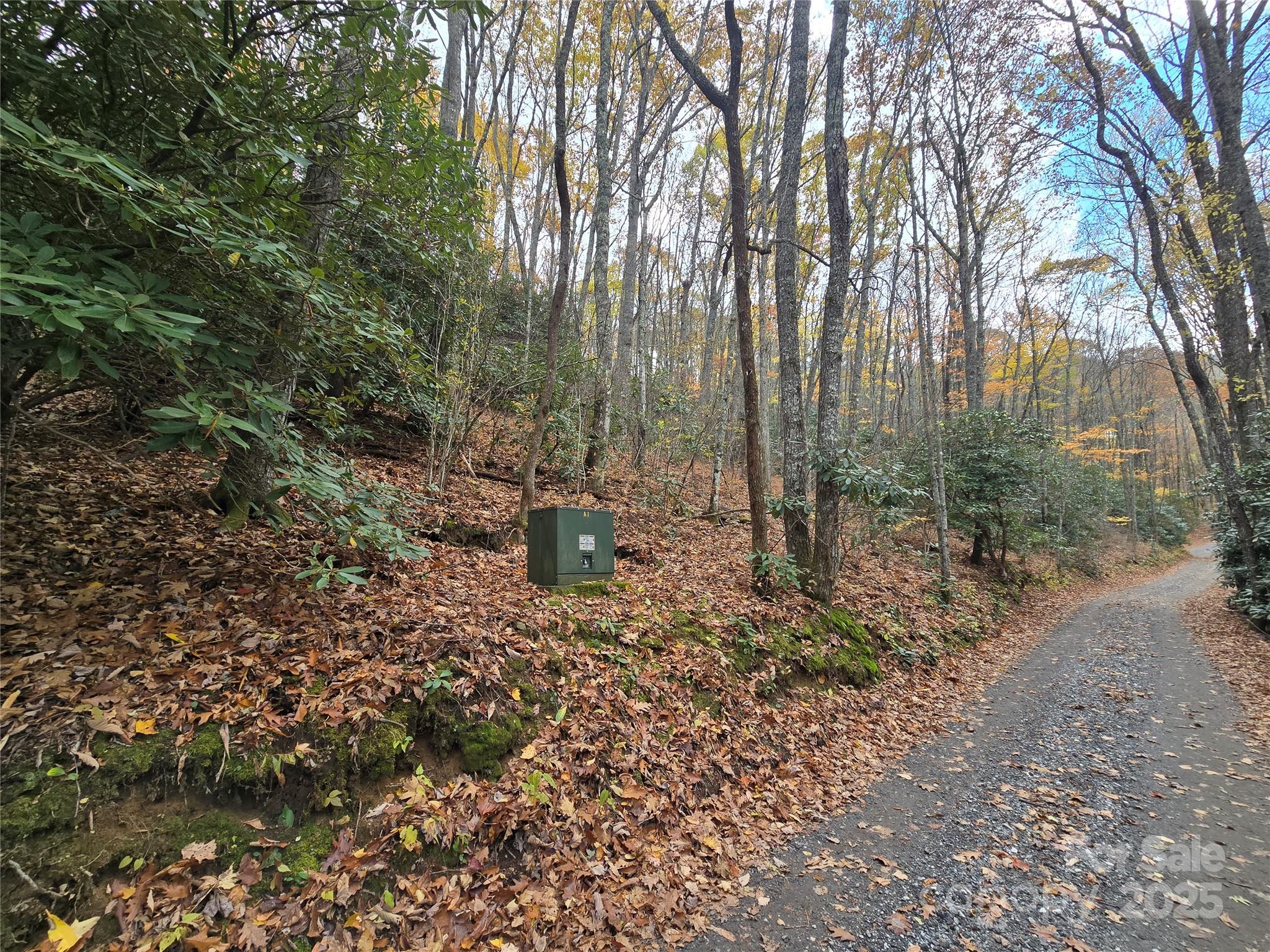 Sherwoode Forest - Land