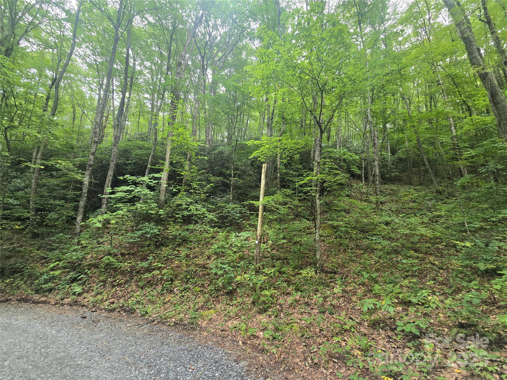 Sherwoode Forest - Land