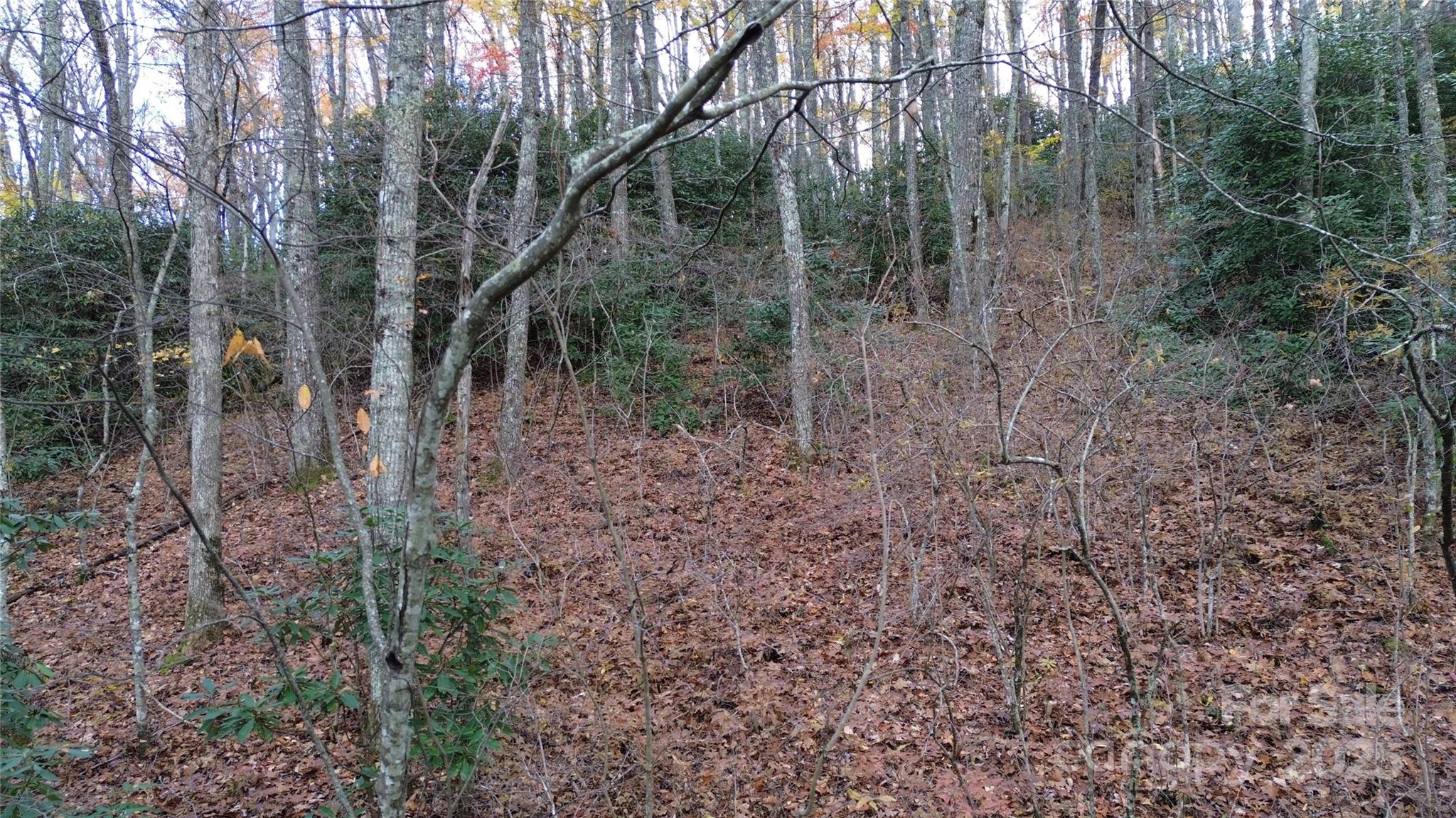 Sherwoode Forest - Land