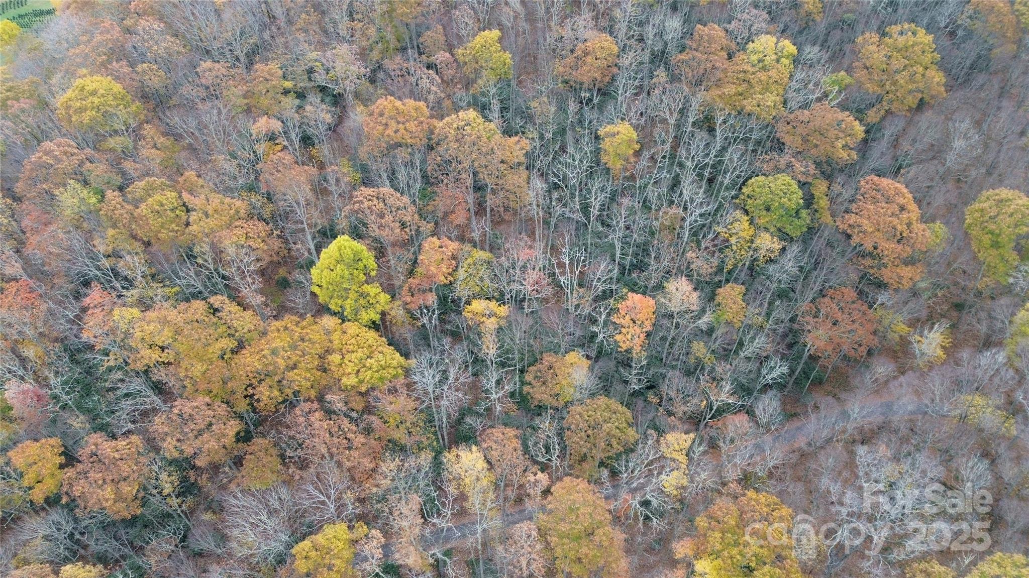 Sherwoode Forest - Land