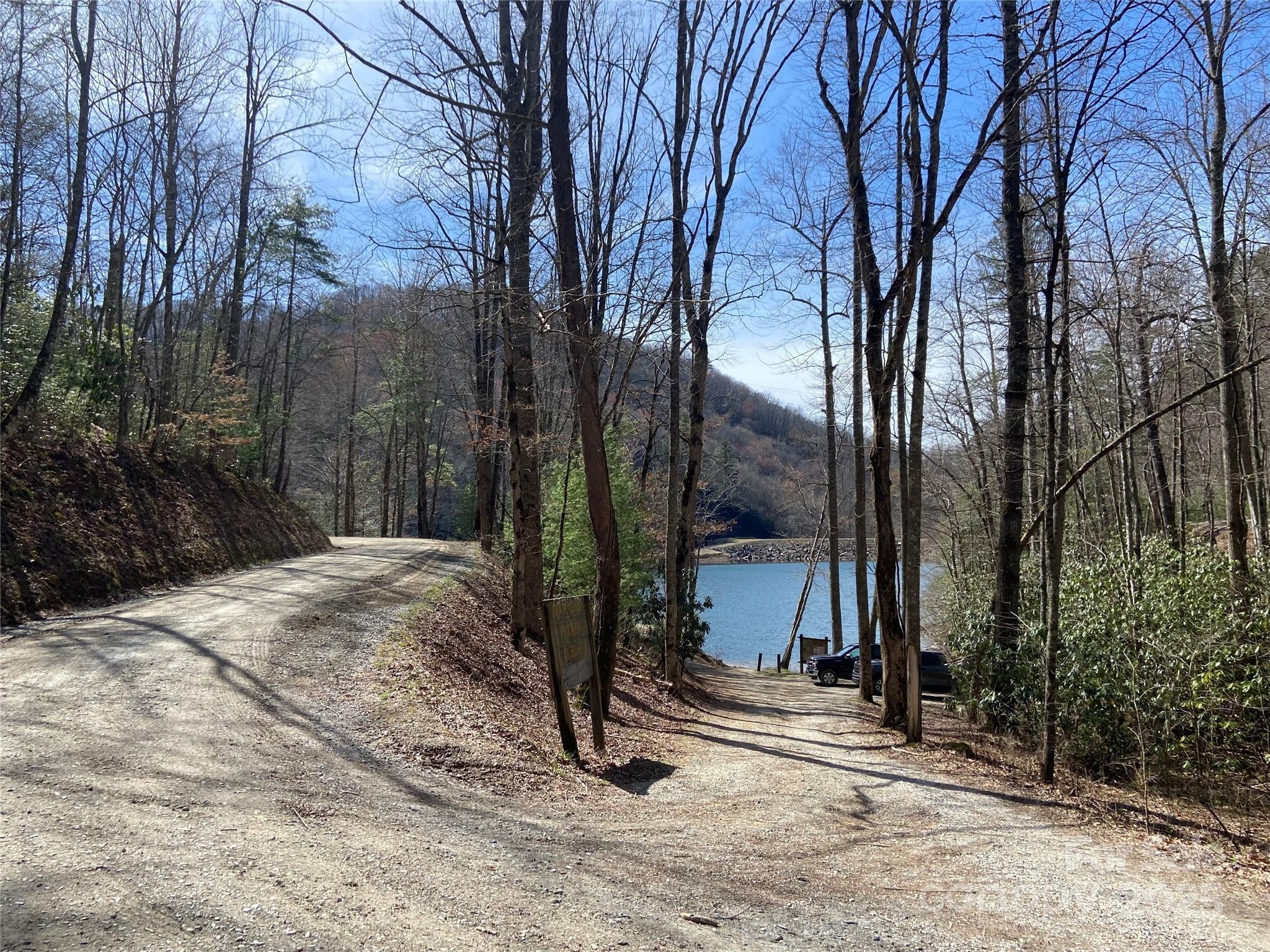 Mystic Forest - Land