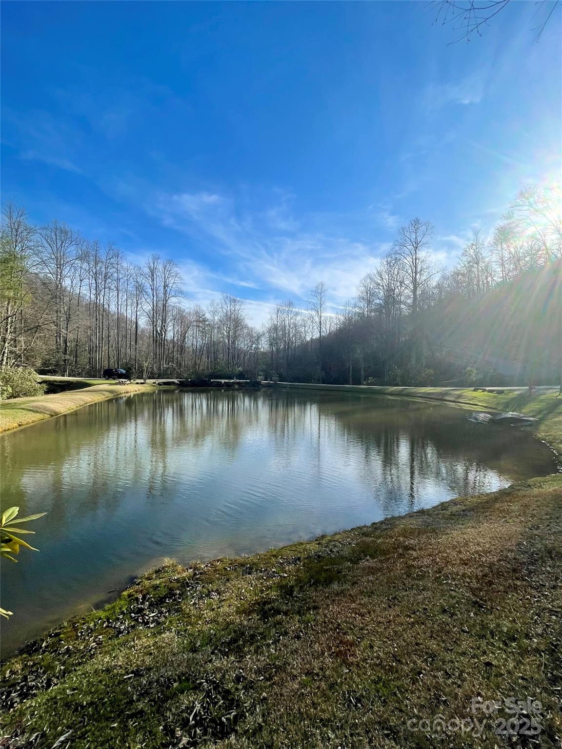 Mystic Forest - Land