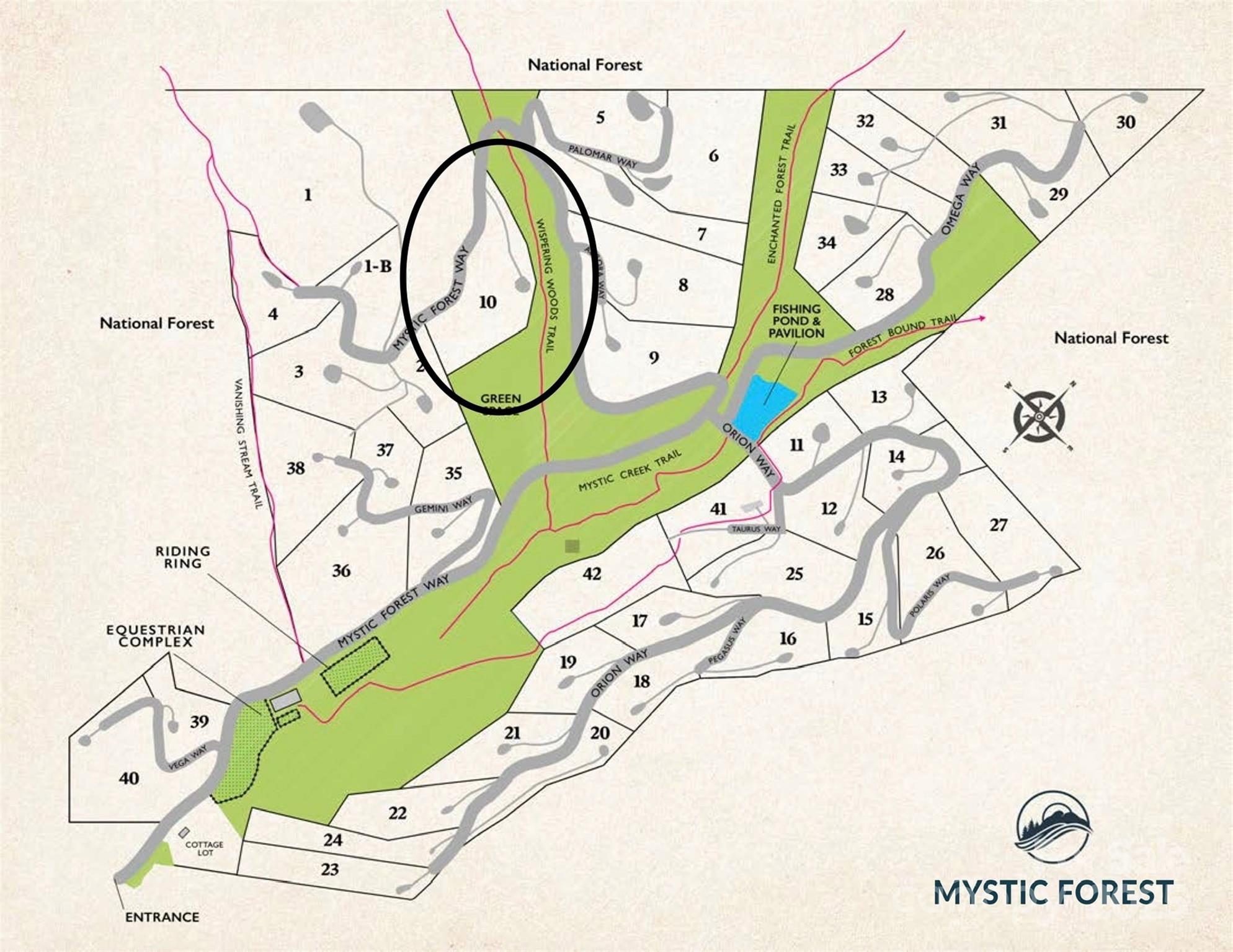 Mystic Forest - Land