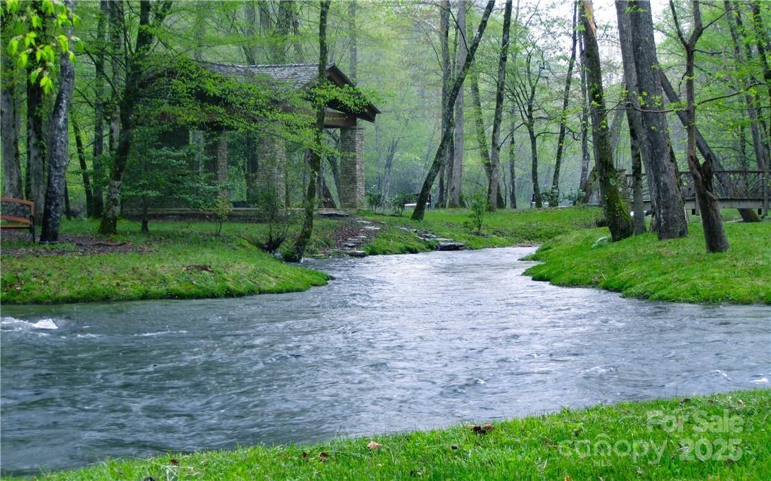 Mystic Forest - Land