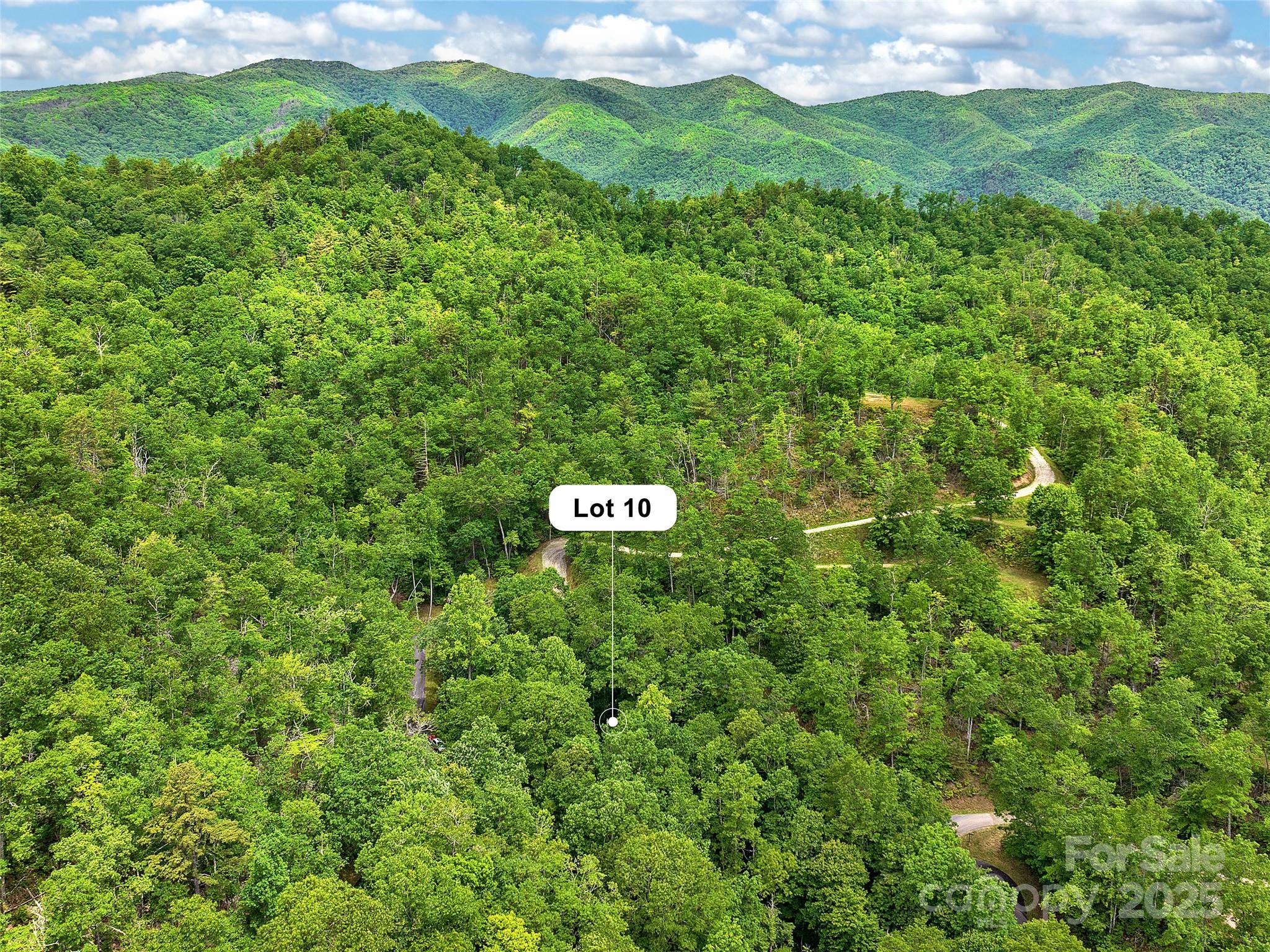 Mystic Forest - Land