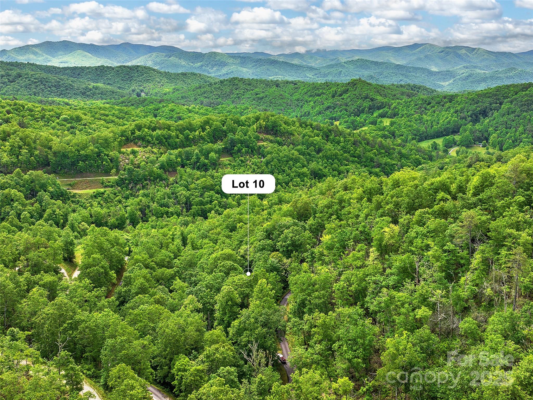 Mystic Forest - Land