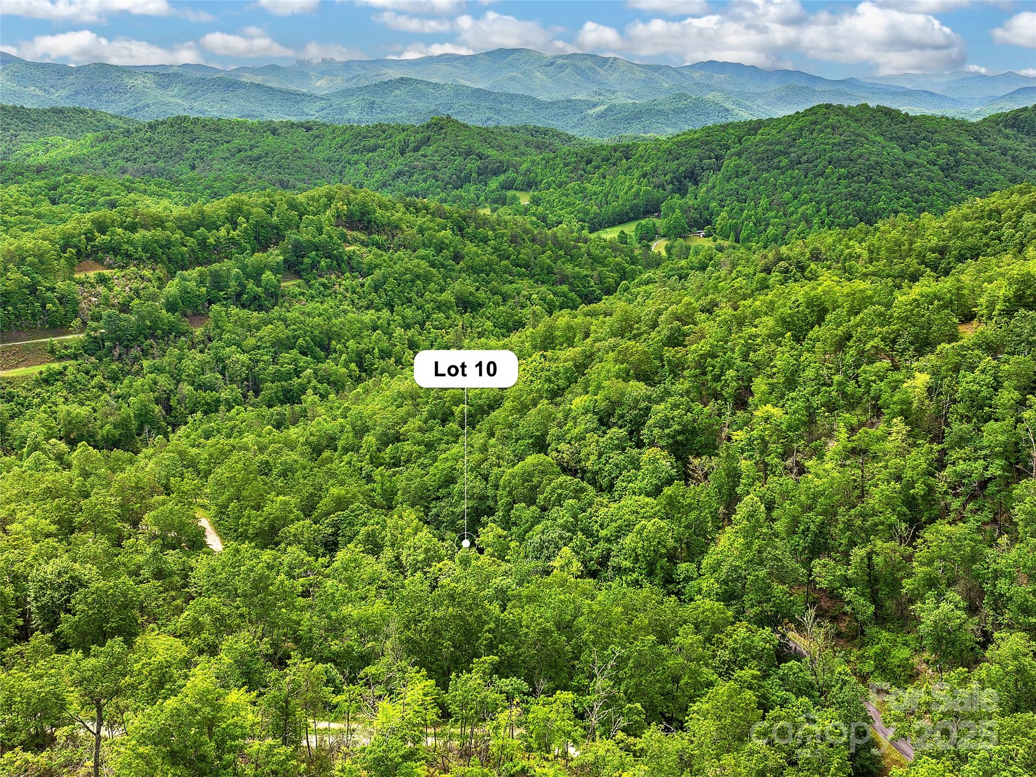 Mystic Forest - Land