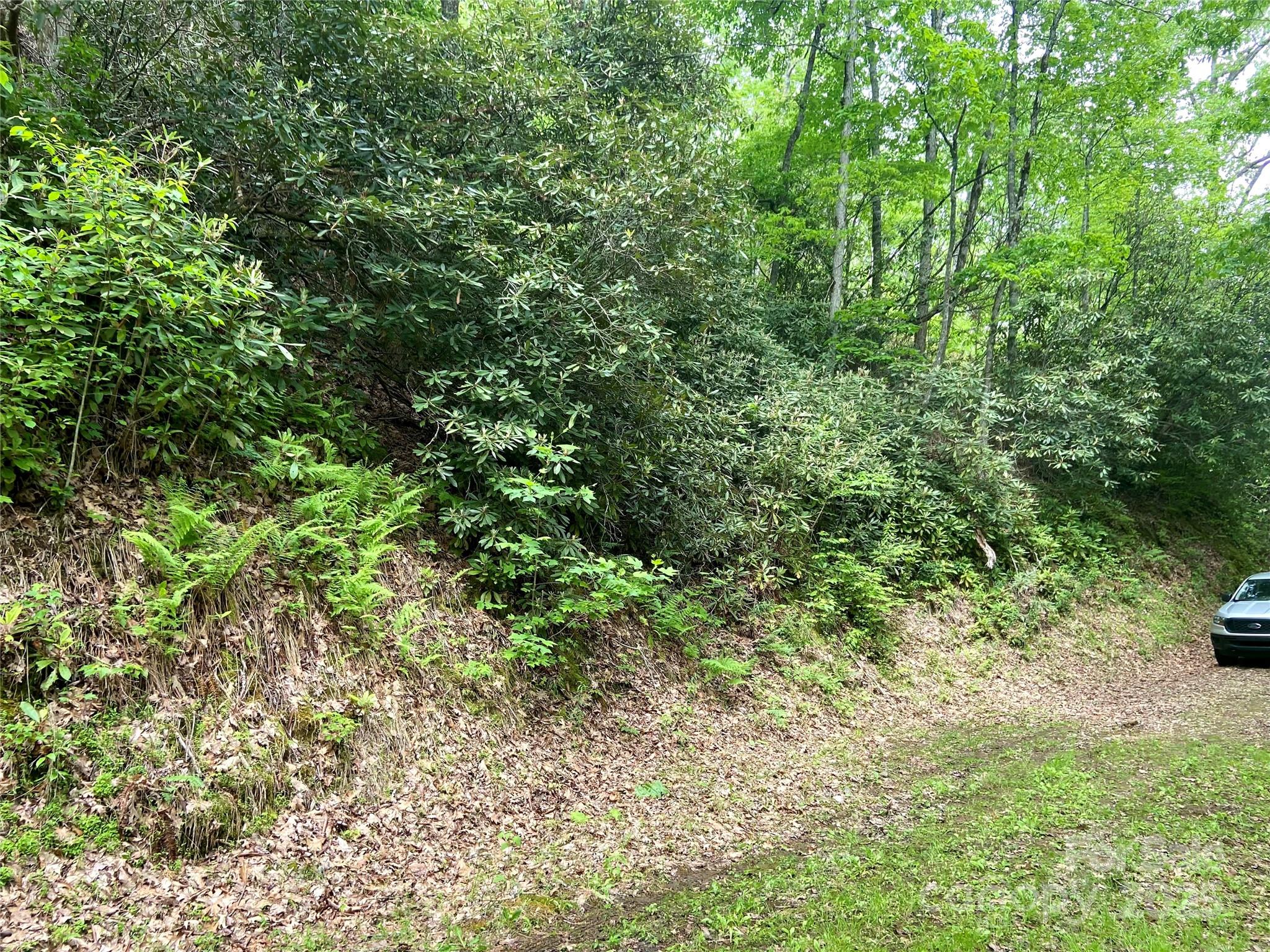 Lot 10 Mystic Forest Way 10