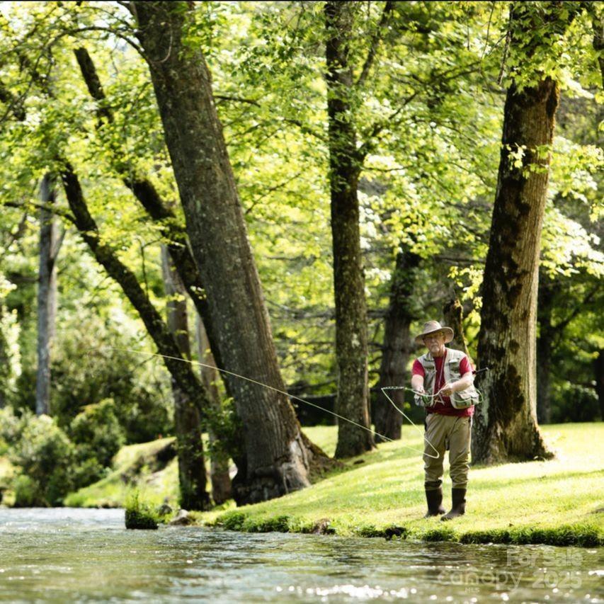 Mystic Forest - Land