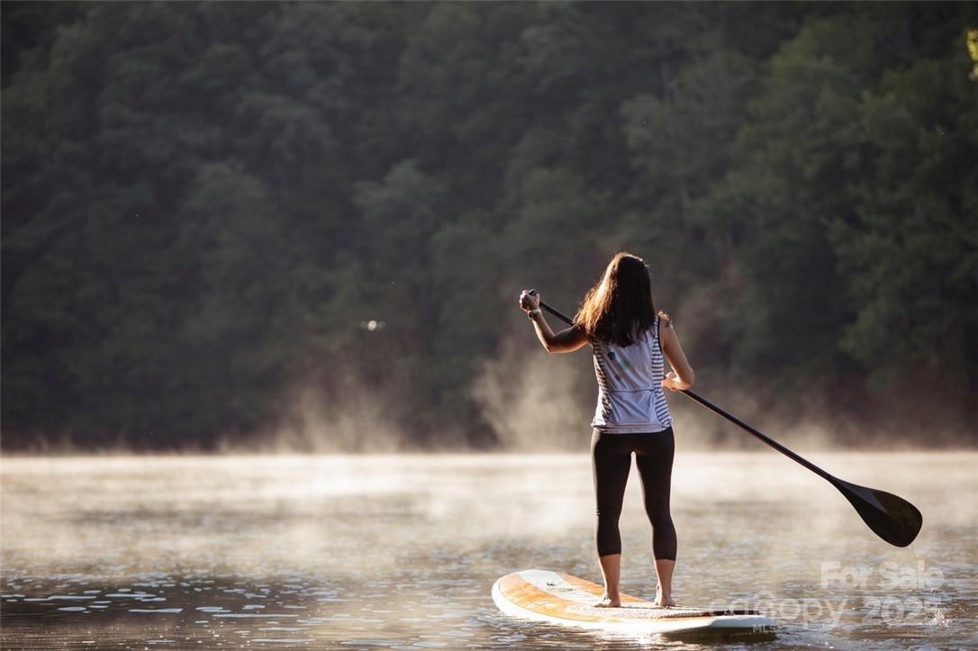Mystic Forest - Land
