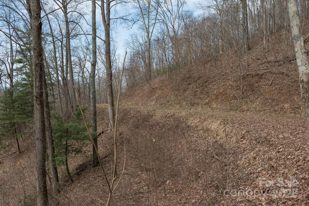 Wildcat Cliffs - Land