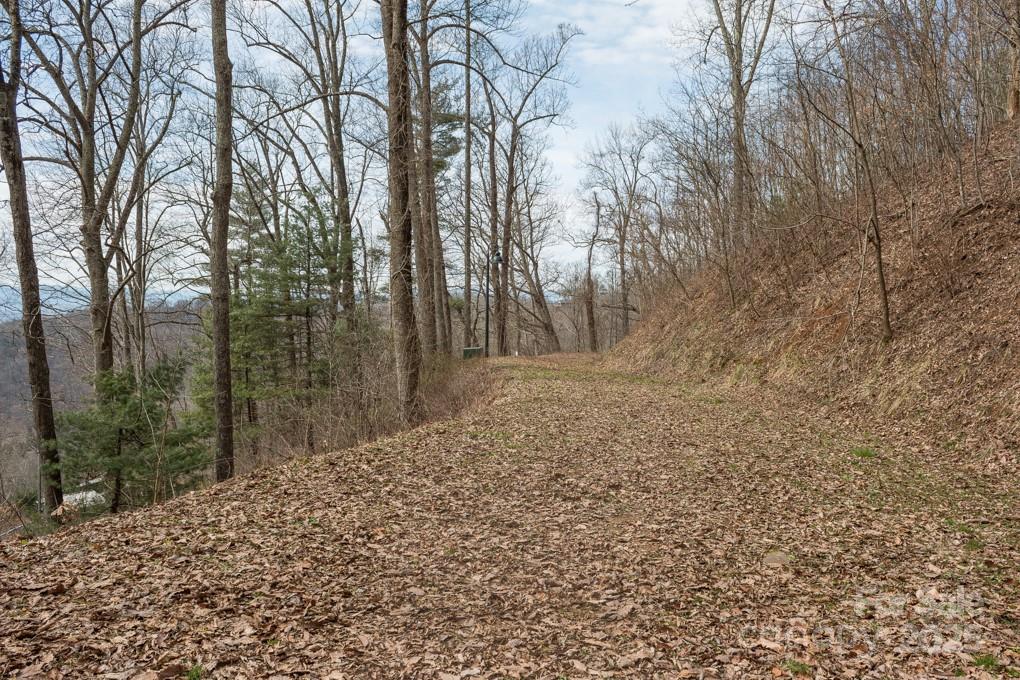 Wildcat Cliffs - Land