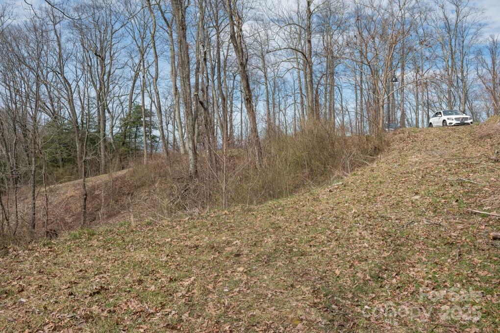 Wildcat Cliffs - Land