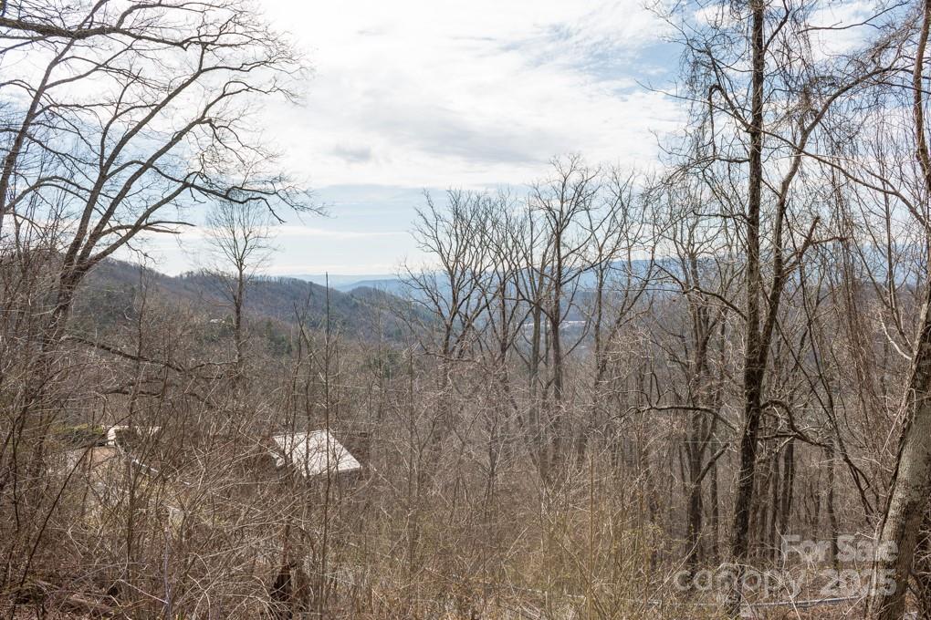 Wildcat Cliffs - Land