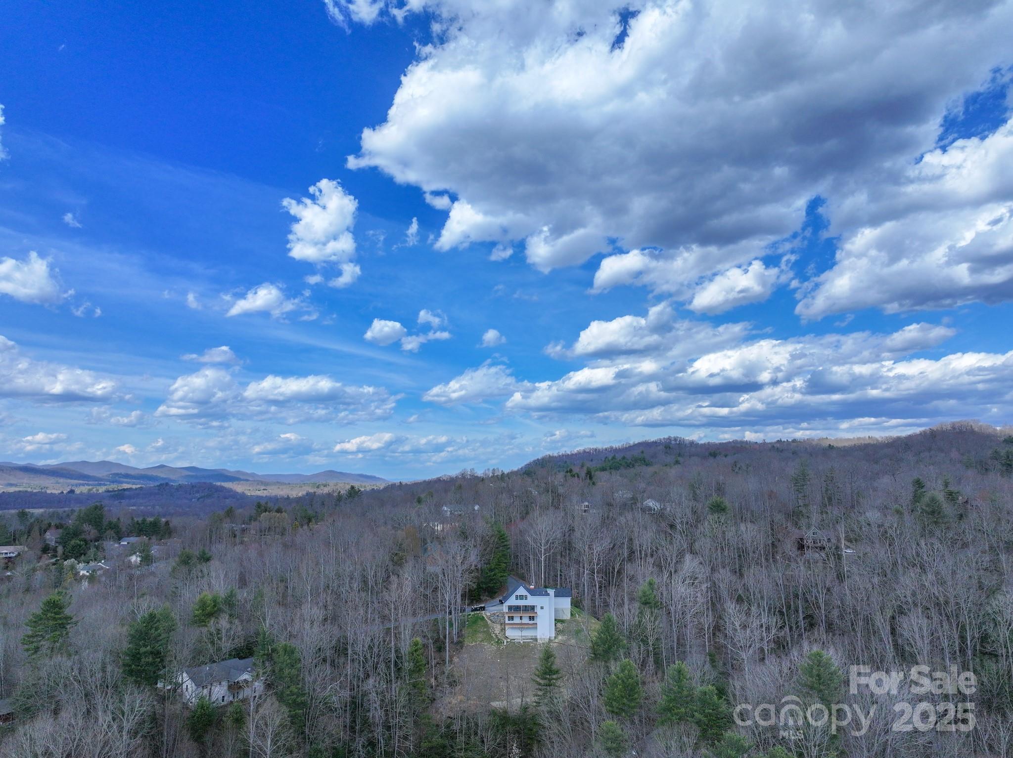 1018 Willow Ridge Drive