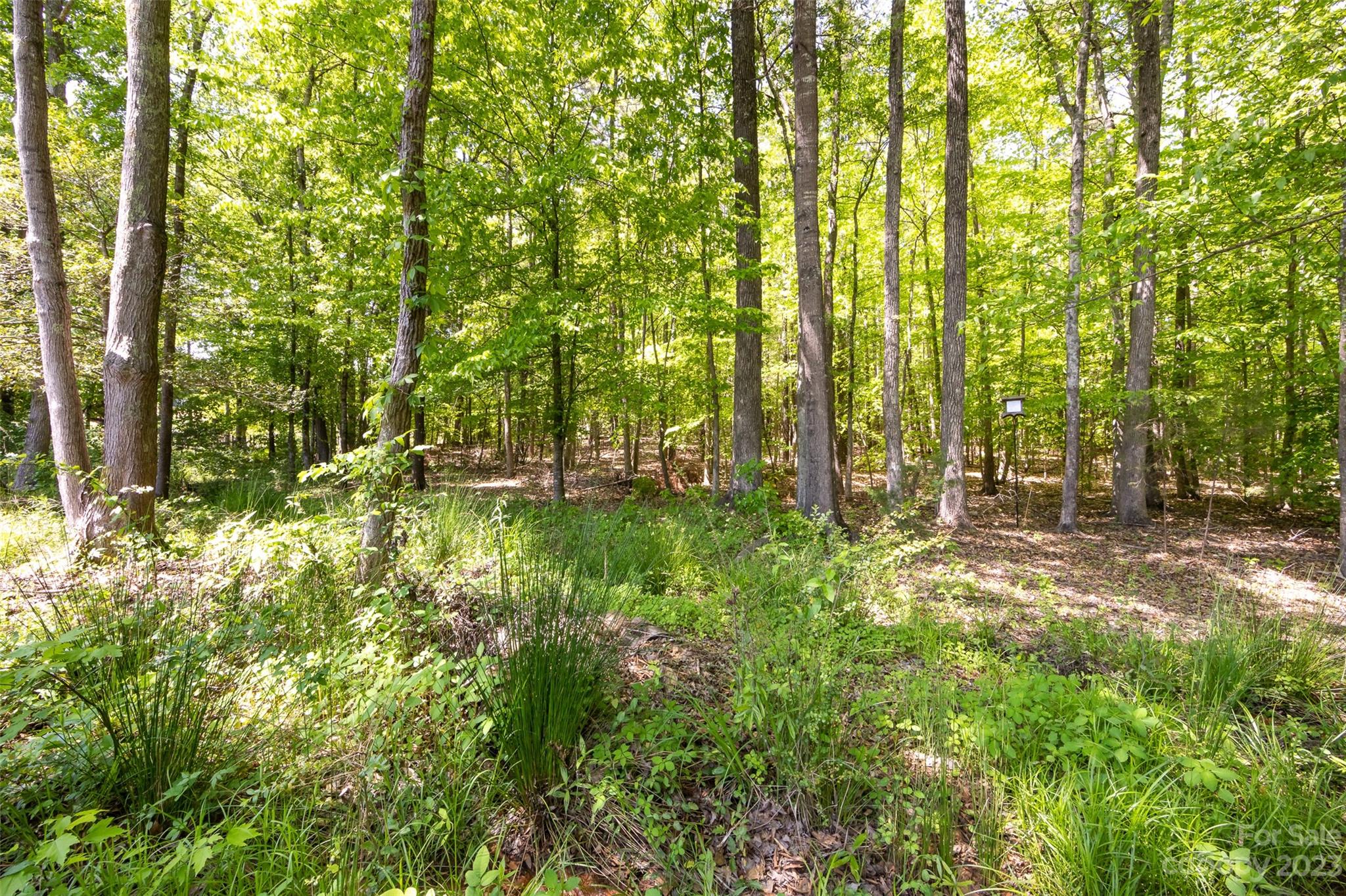 Shelly Woods - Residential