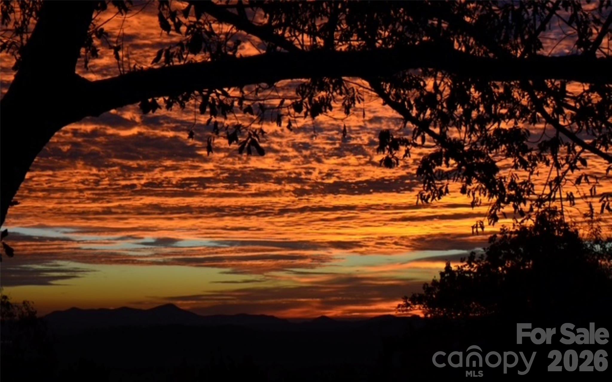 Champion Hills - Residential