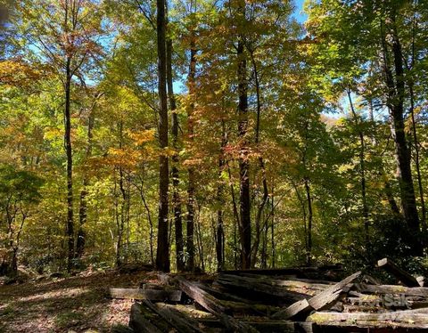 Lot A38 Tawodi Trail Maggie Valley NC 28751